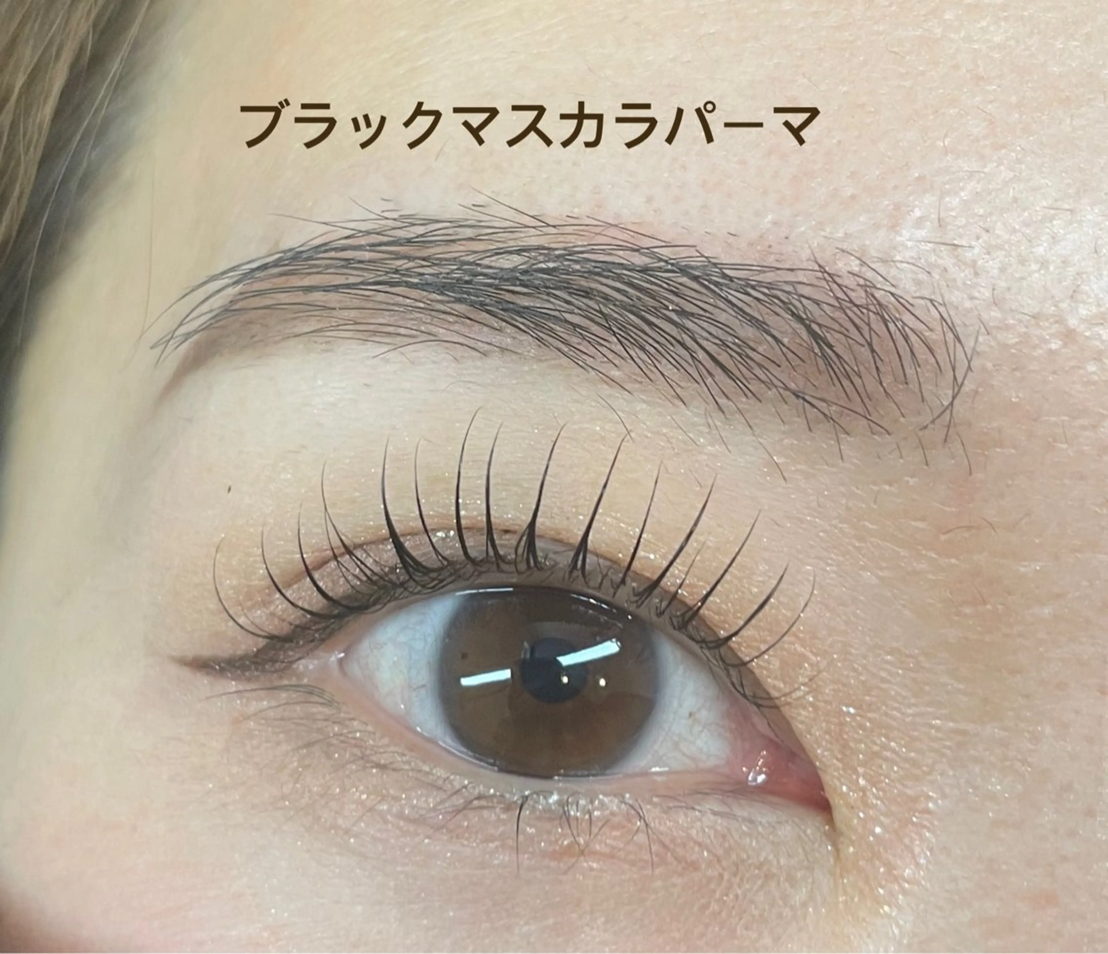 マツエク・マツパ マツパ Trusta プライベートサロンのマツエク・マツパデザイン