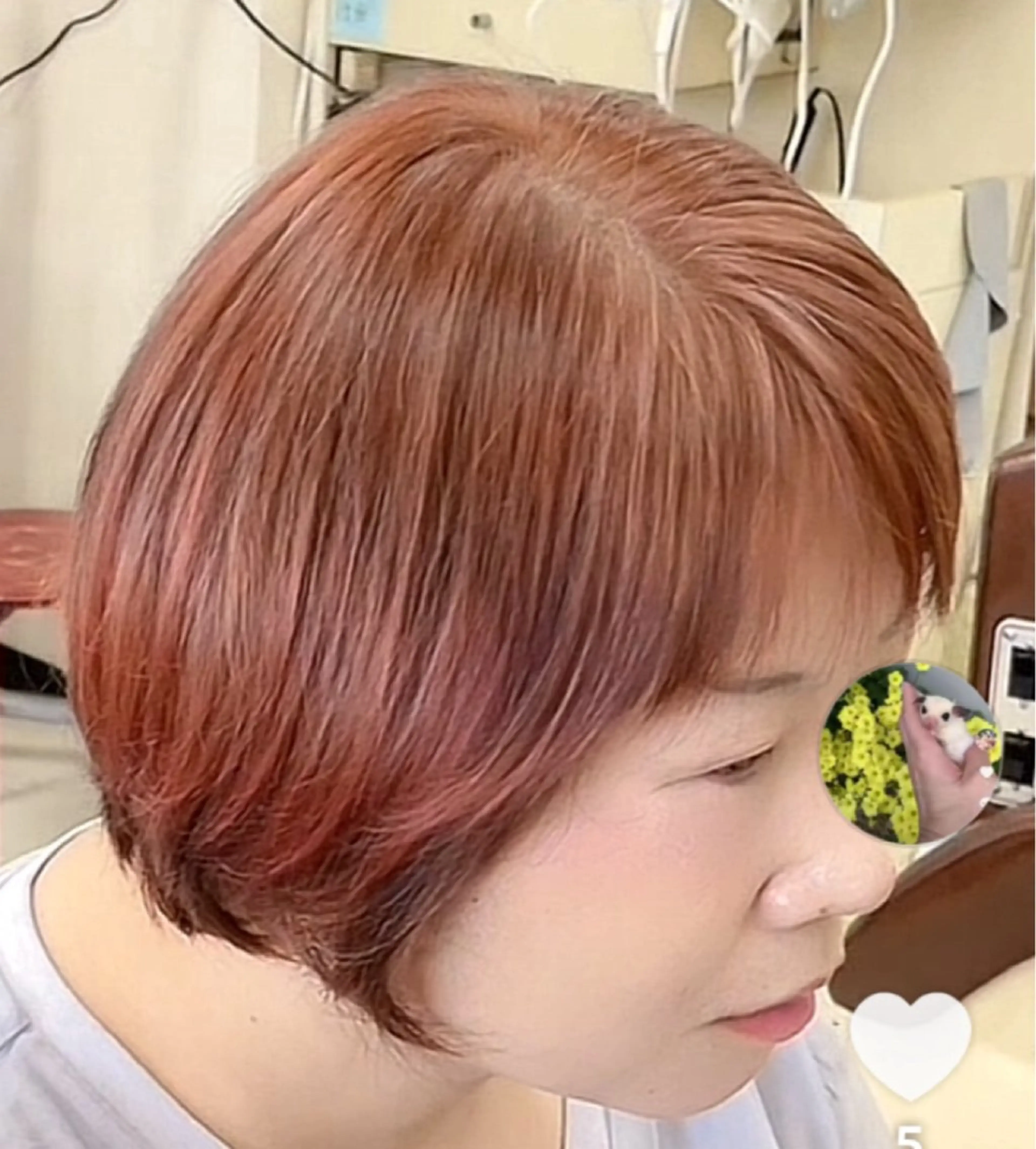 カラー 竹内 秀美のヘアスタイル