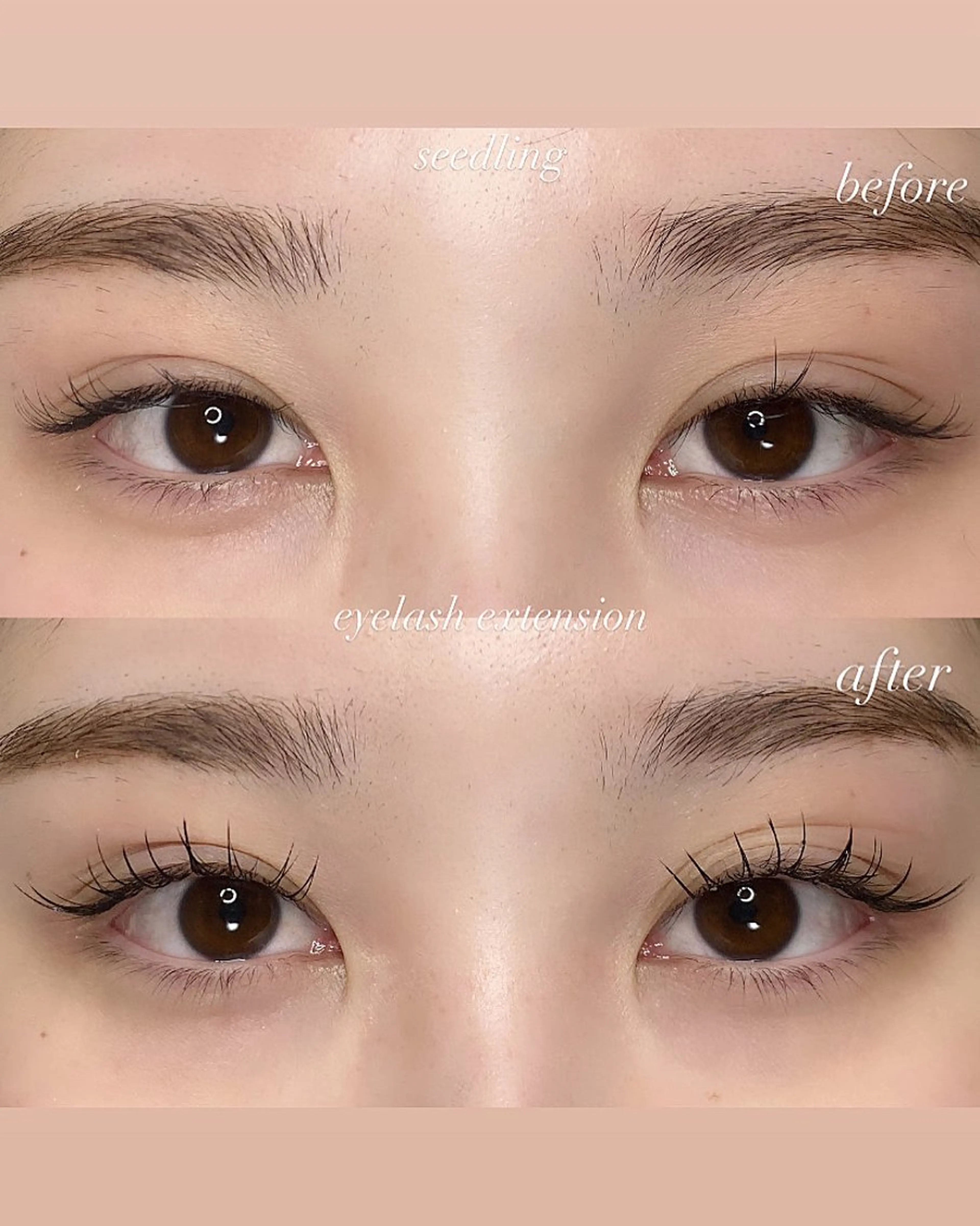 マツエク・マツパ シードリン 府内店 杉田のマツエク・マツパデザイン