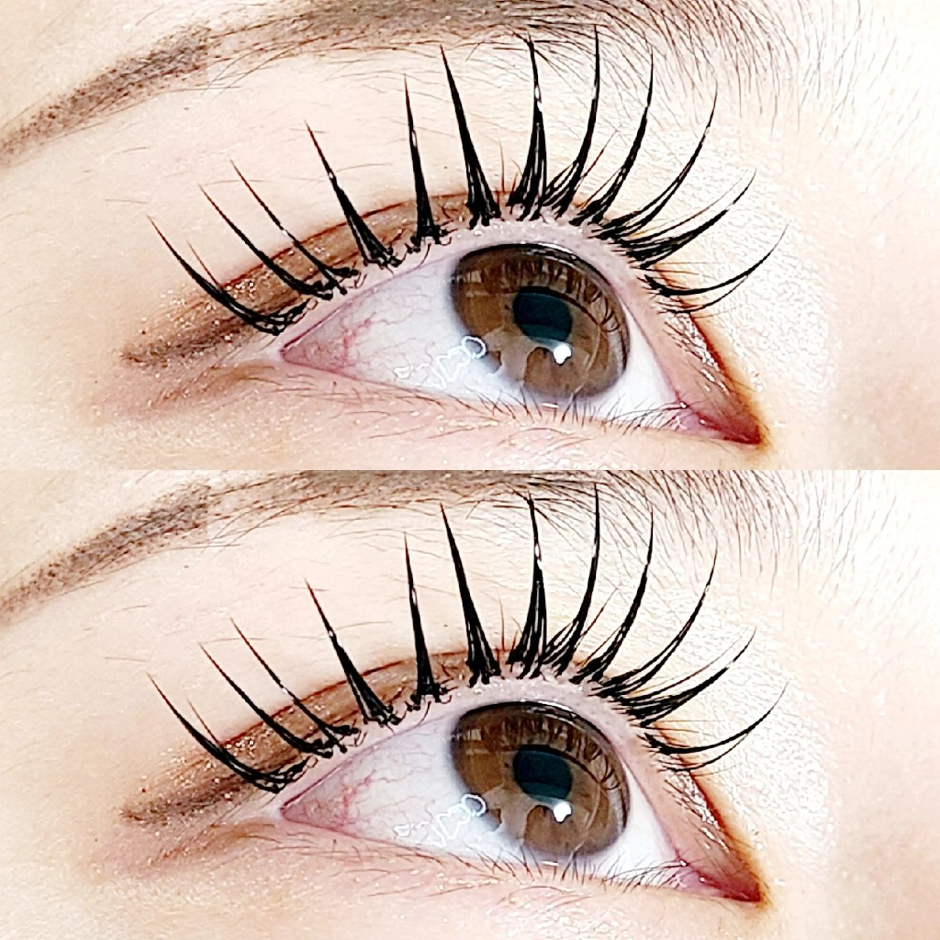 マツエク・マツパ 束感まつ毛 フラットラッシュ 韓国風マツエク マツエク セレビアイ/ ISHIIのマツエク・マツパデザイン