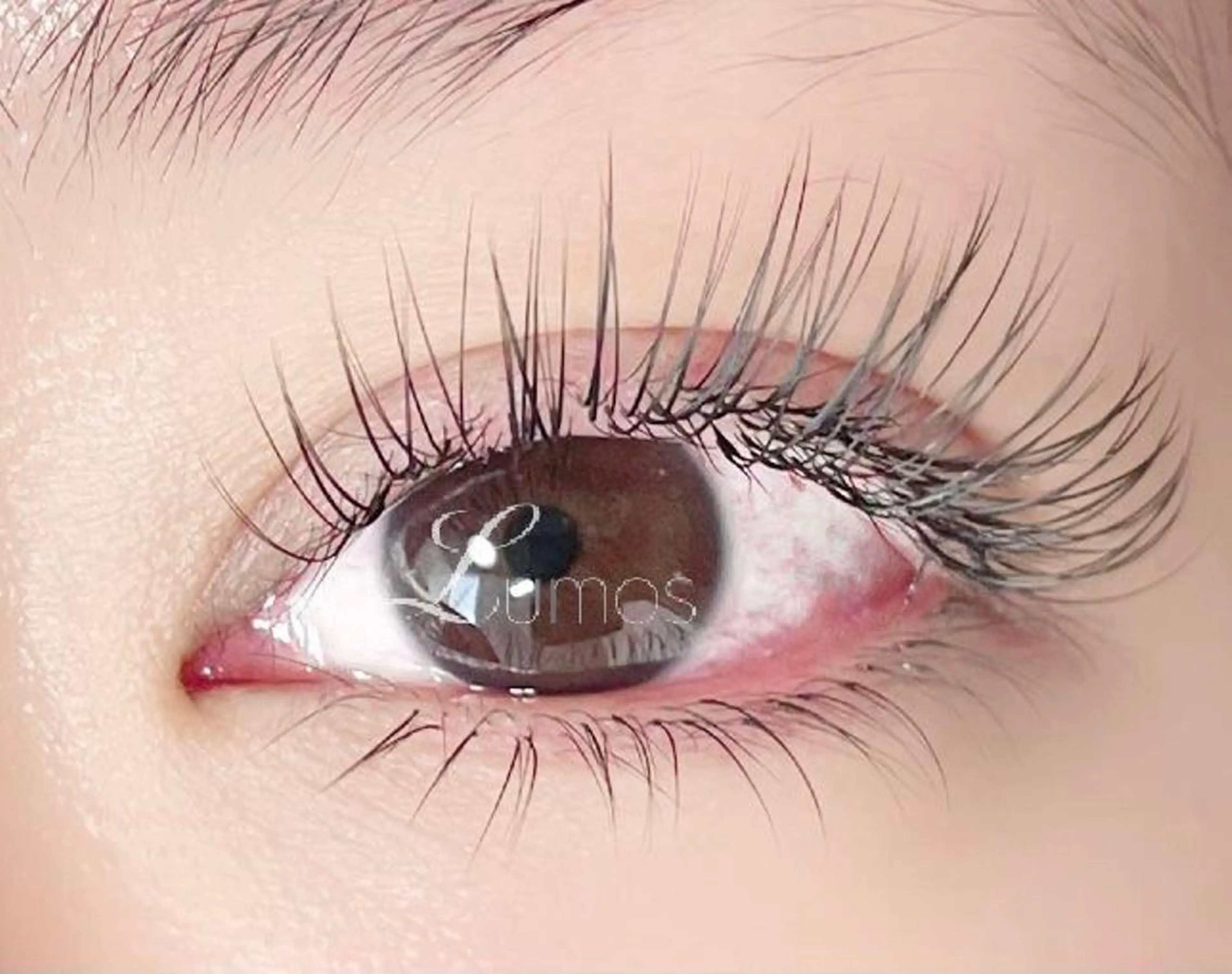 【他店オフ無料】フラットラッシュ180本まで上下振り分け可の写真