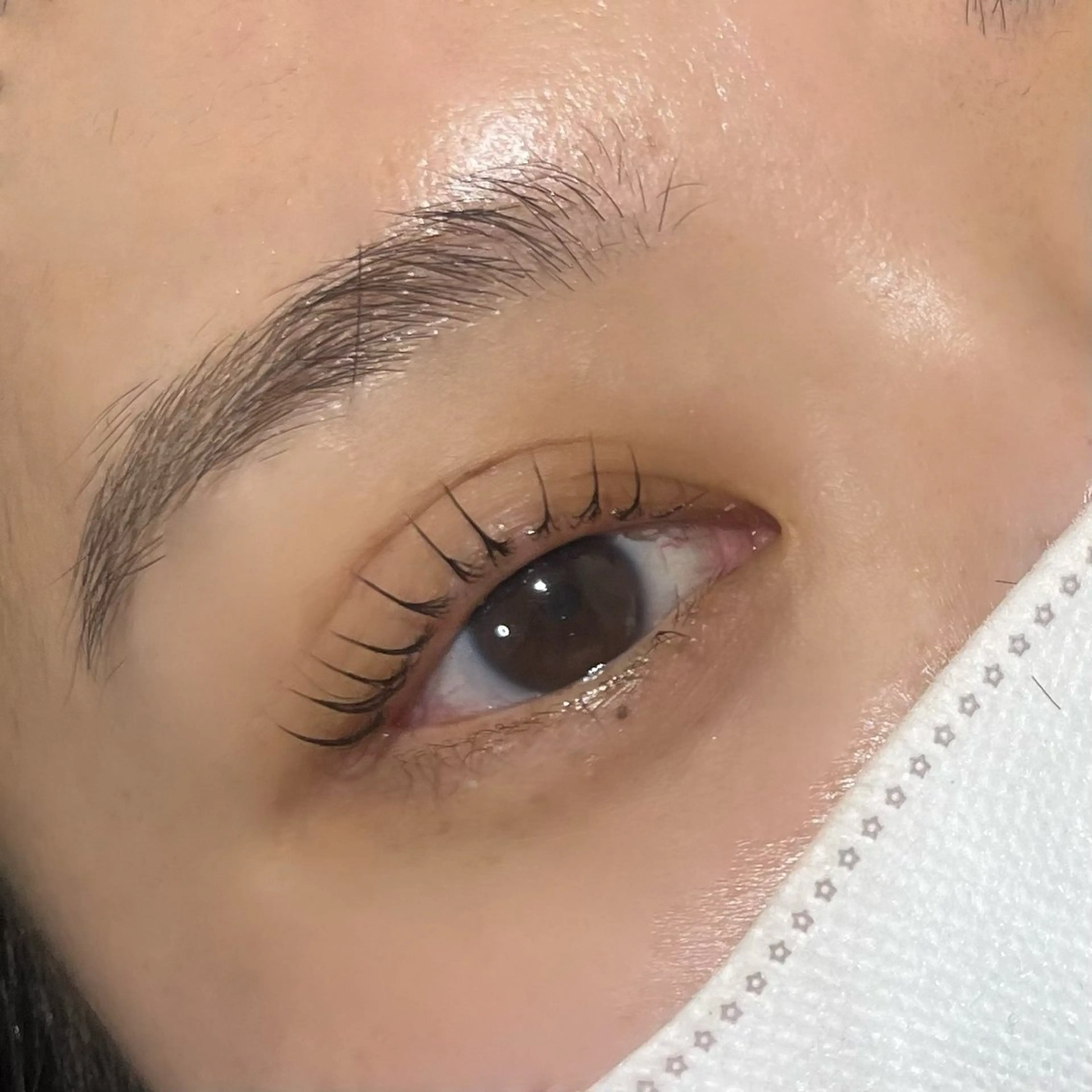 マツエク・マツパ 韓国束感まつげ｜ MANAMI🧸のマツエク・マツパデザイン