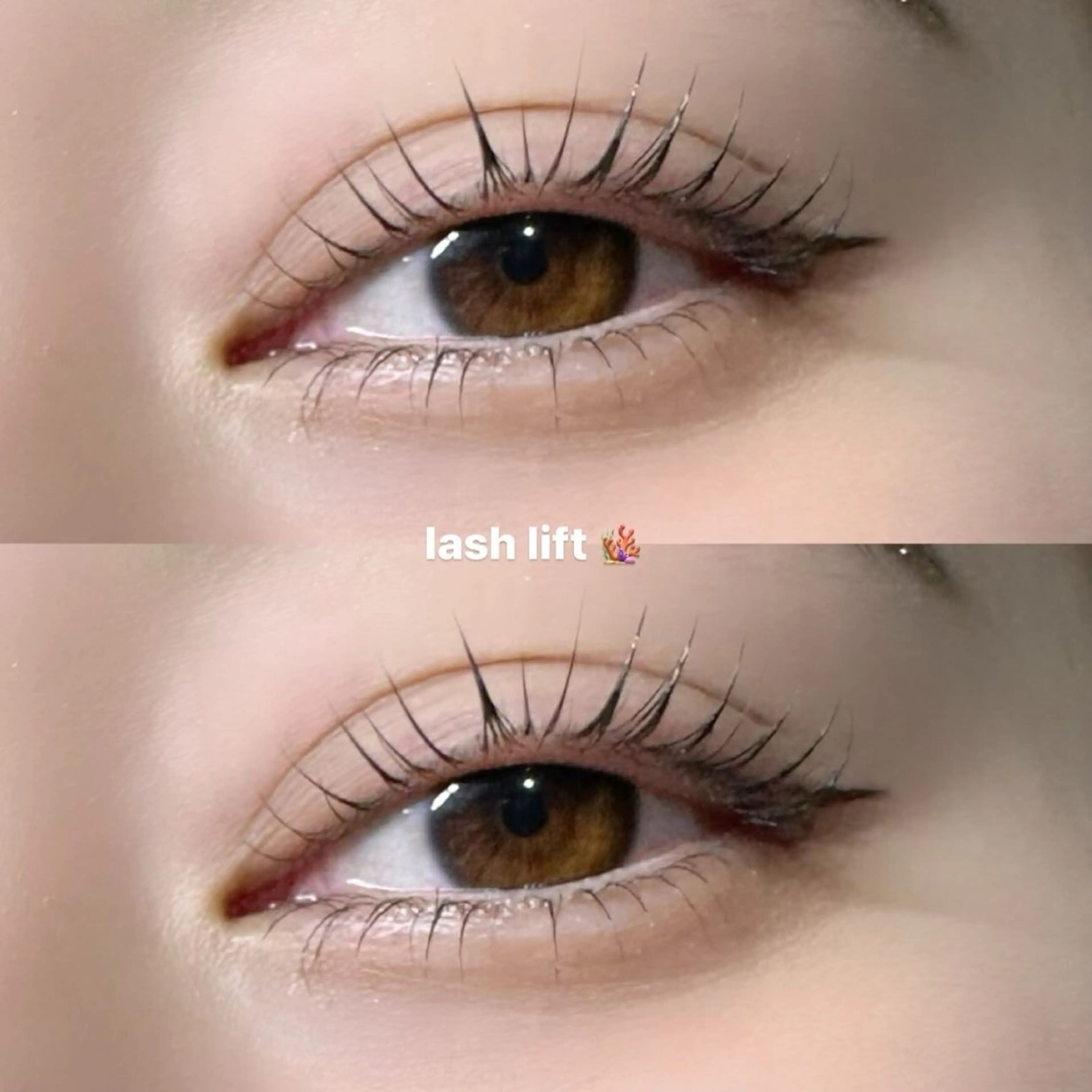 〈まつ毛パーマ上下〉美容液コーティング付⭐︎の写真