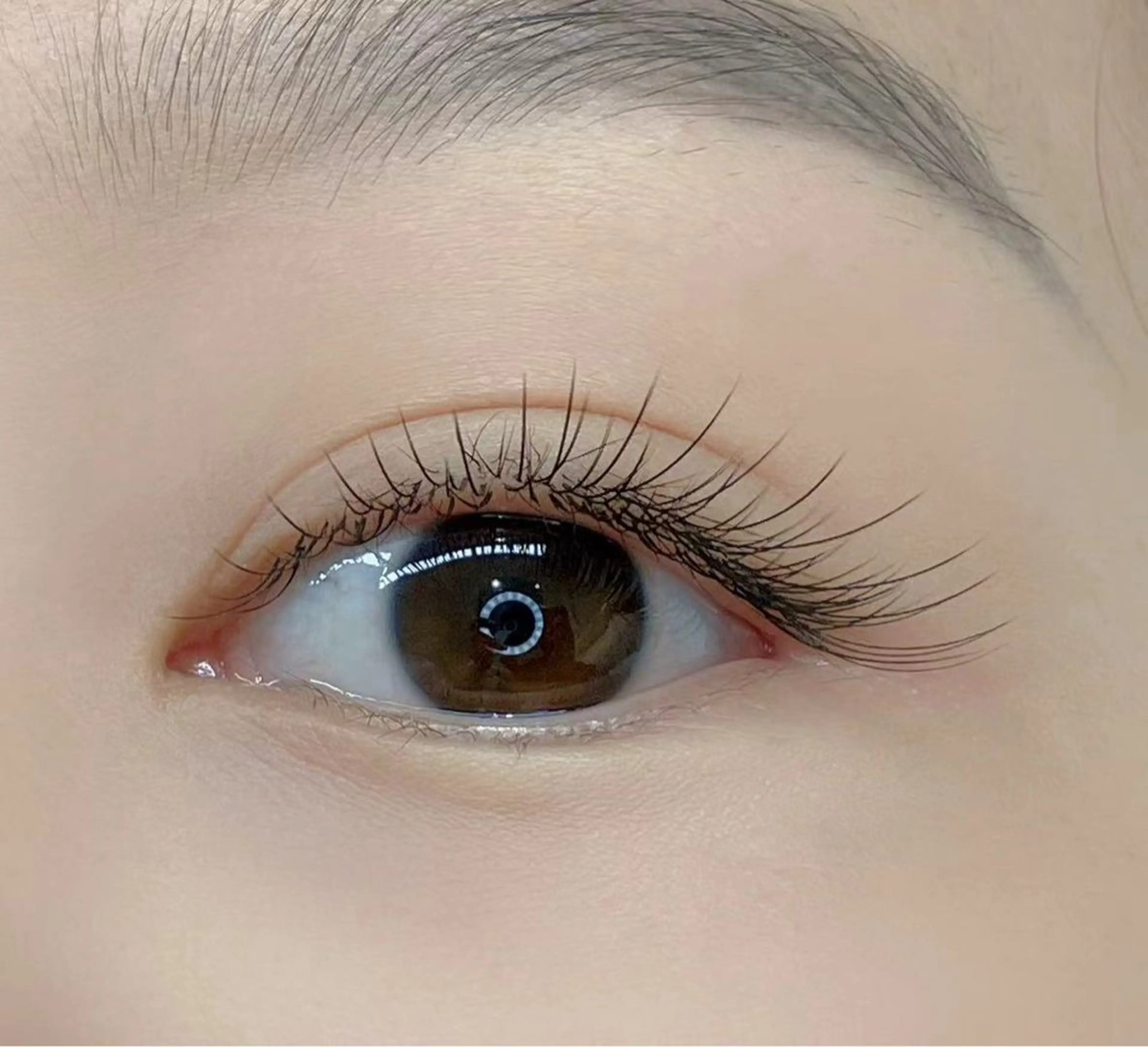 【新規限定】セーブル100本【オフ+600】の写真