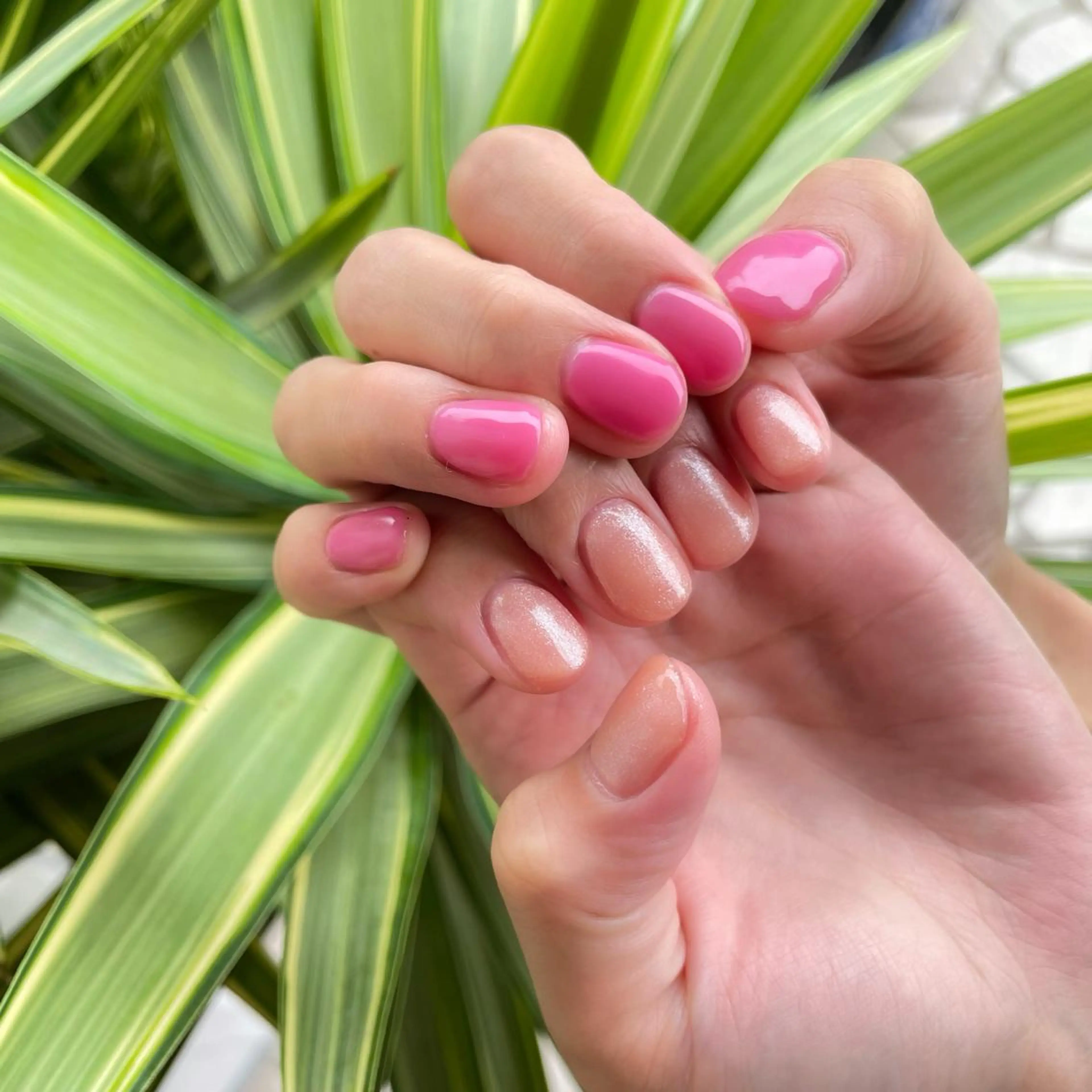 ネイル ワンカラーネイル ピンク es nailのネイルデザイン