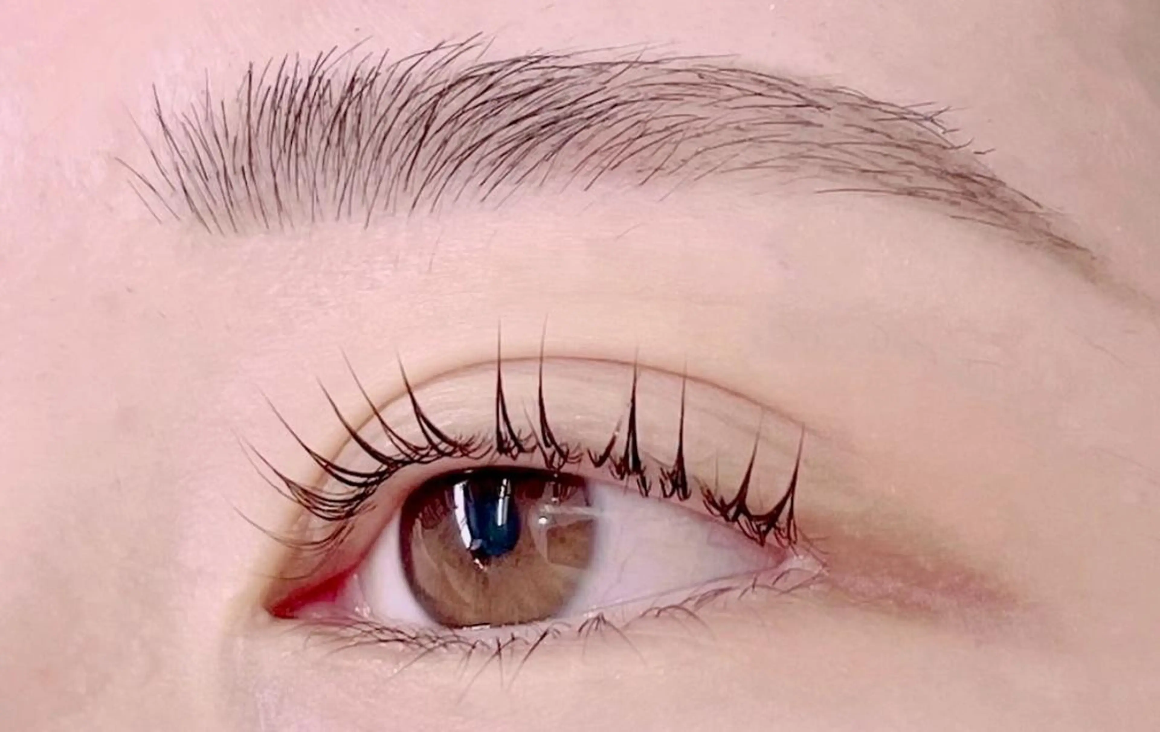 minimo限定🤍まつげパーマ【パリジェンヌorラッシュリフト】アイシャンプー&コーティング付きの写真