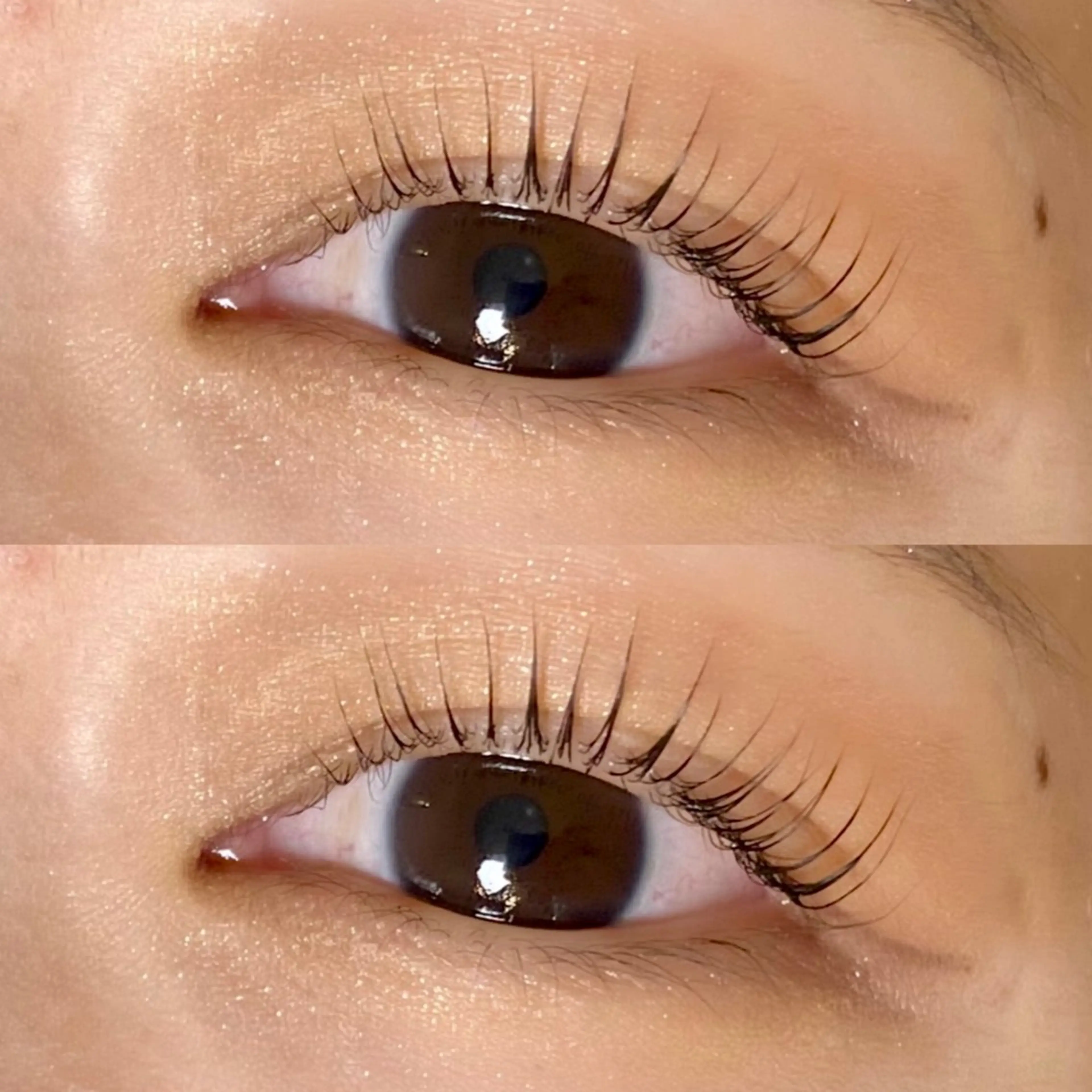 マツエク・マツパ パリジェンヌラッシュリフト Saito Honoka🕊️のマツエク・マツパデザイン