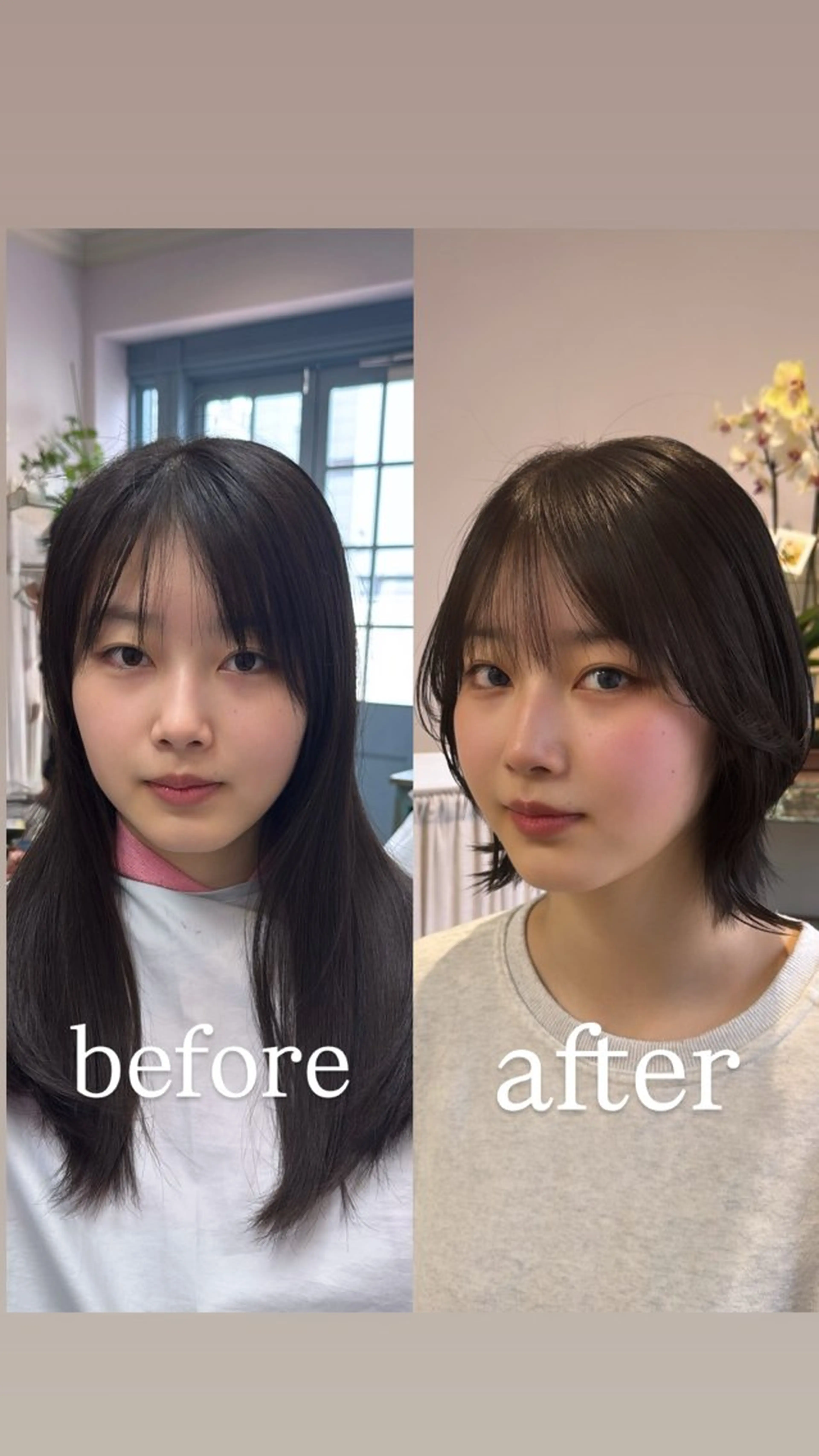 ショート くびれヘア ショートヘア カット トリートメント Sakura .のヘアスタイル