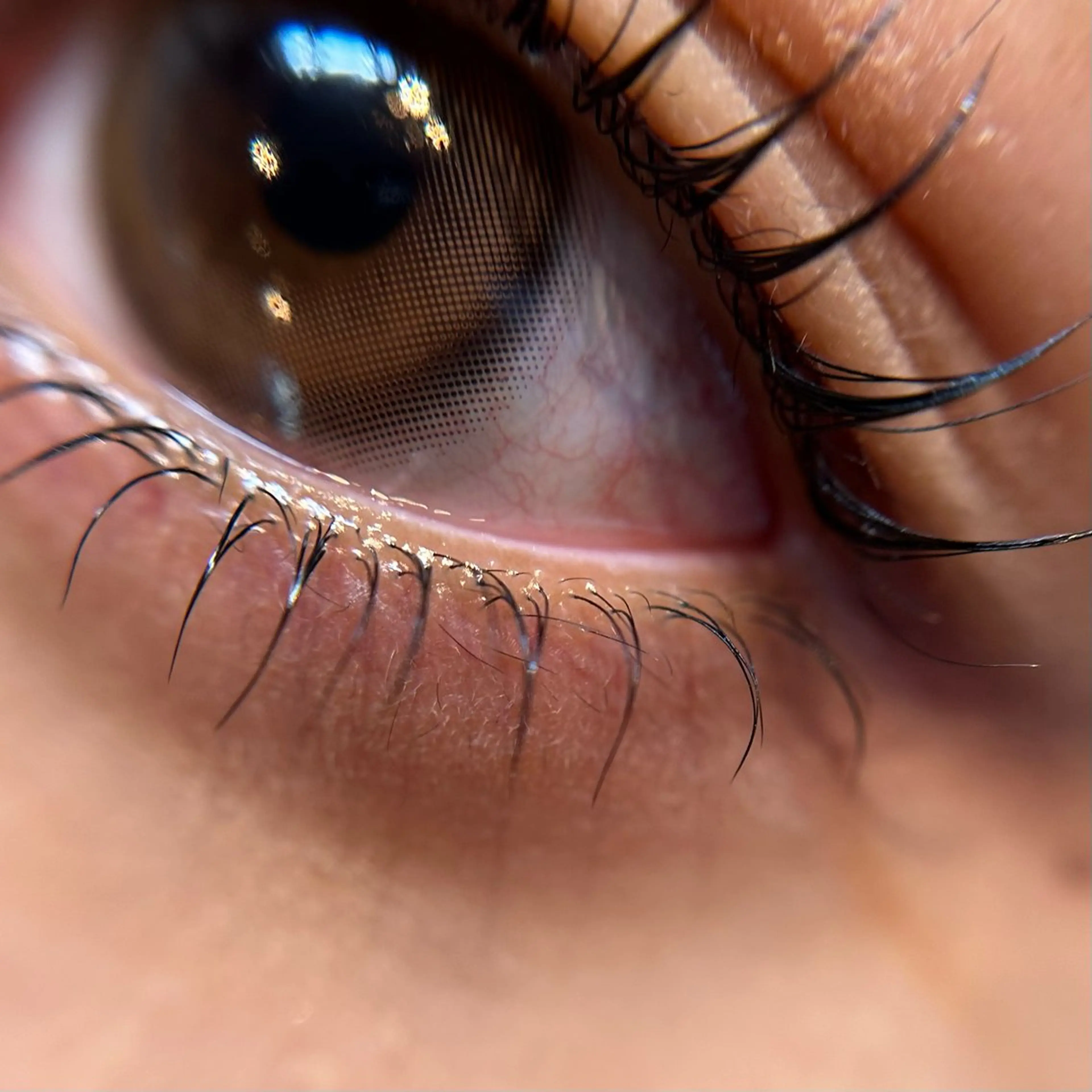 マツエク・マツパ komatsu eyelash恵比寿のマツエク・マツパデザイン