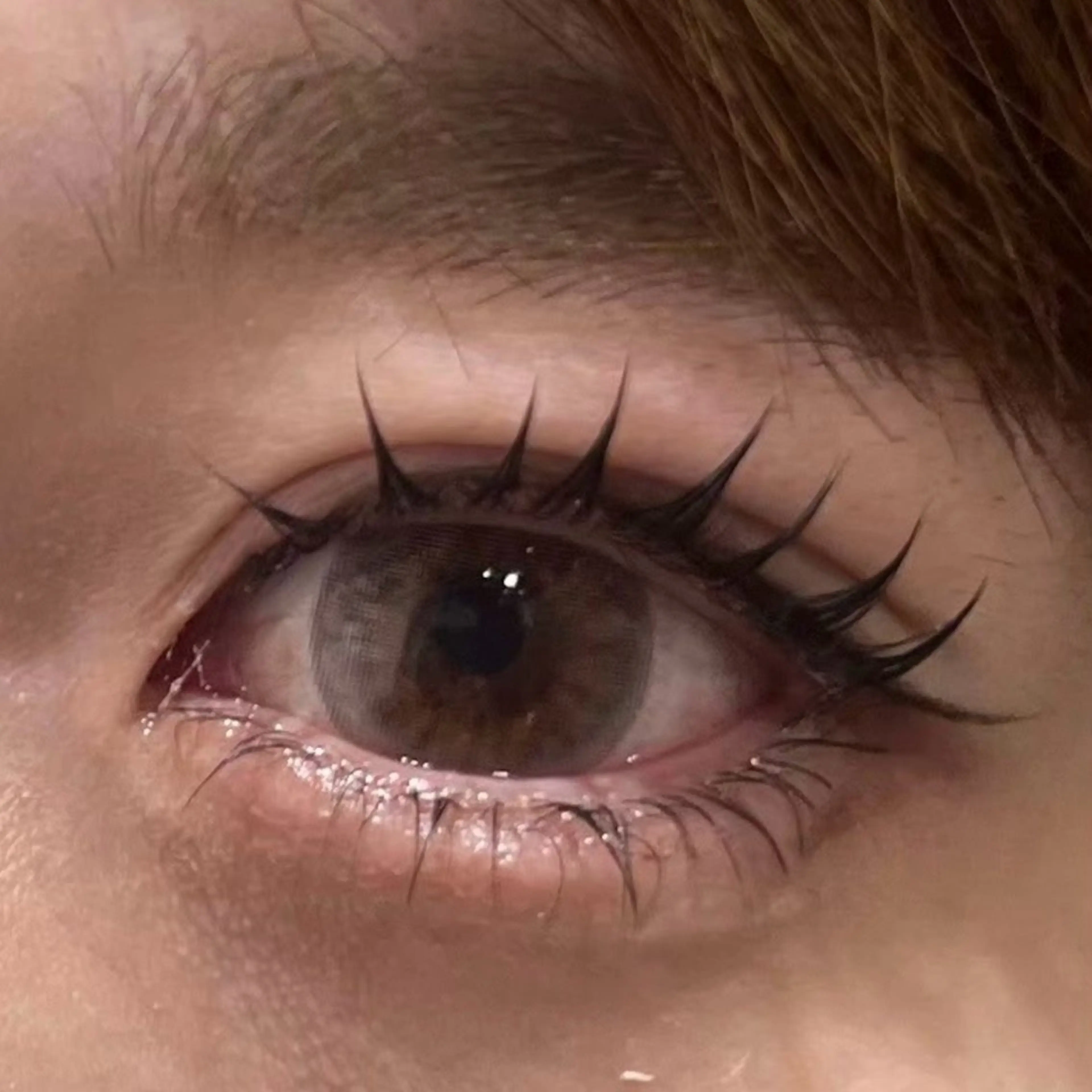 まつげパーマラッシュリフト上下♡ (トリートメント・コーティング付)の写真