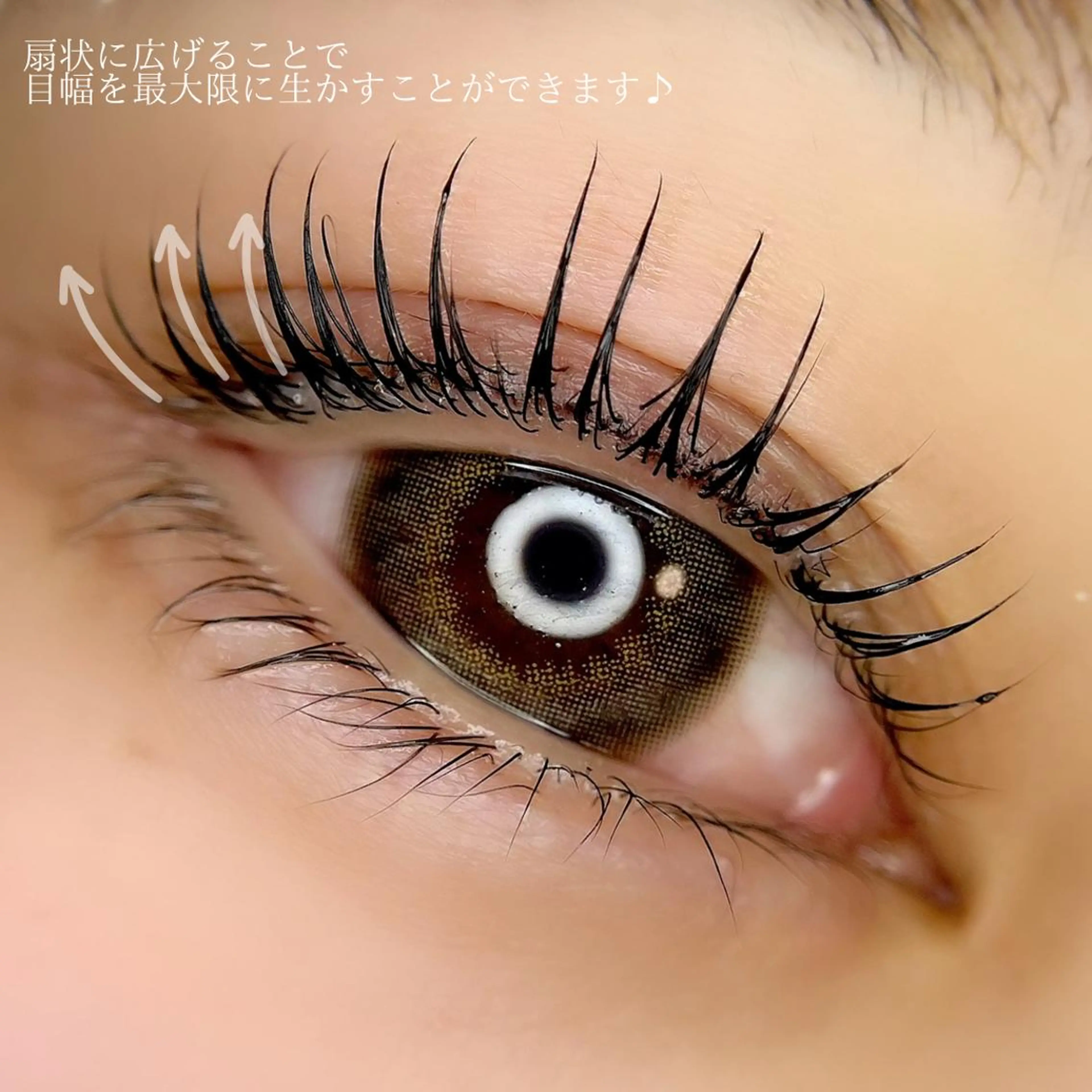 マツエク・マツパ フラットラッシュ ナチュラル パリジェンヌラッシュリフト まつげパーマ 一重×まつ毛パーマ マツパ 💕丸島 夏名🐰🍀のマツエク・マツパデザイン