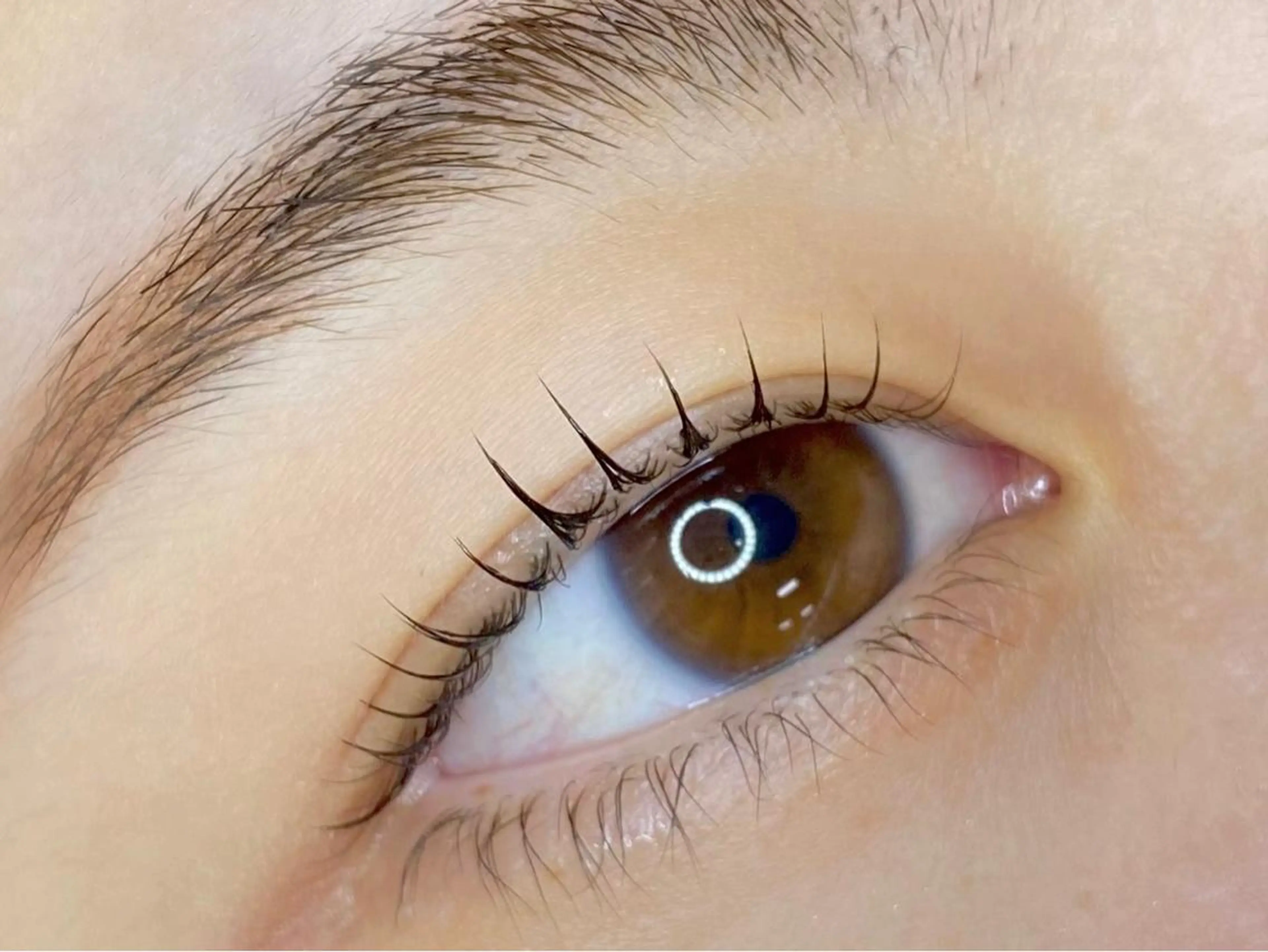 ミニモ限定💖ラッシュリフト ￥4,660‼️‼️束感仕上げ/保湿コーティング付きの写真