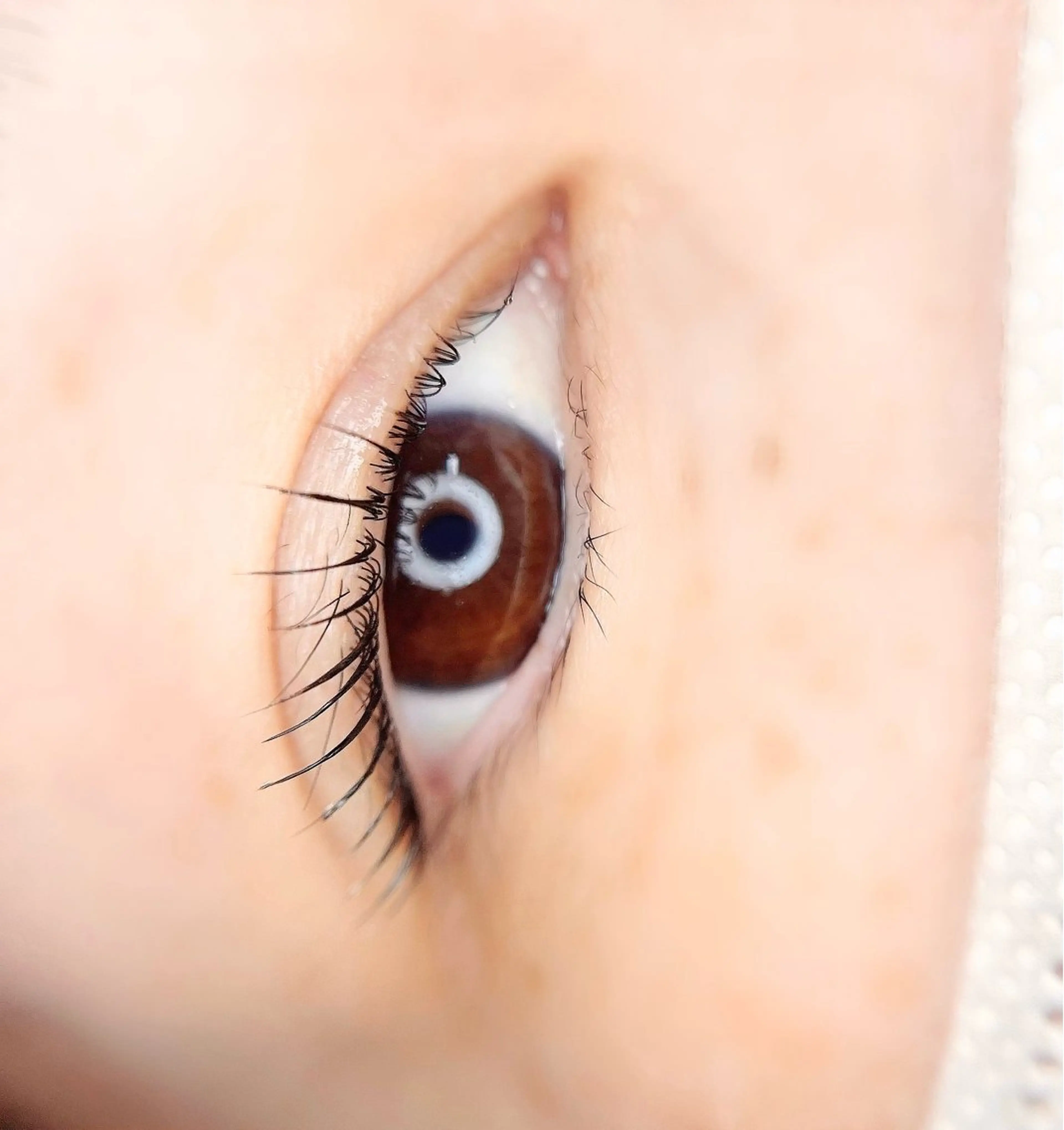 マツエク・マツパ un par un アンパルアン所属・un par unの眉毛・アイブロウイメージ