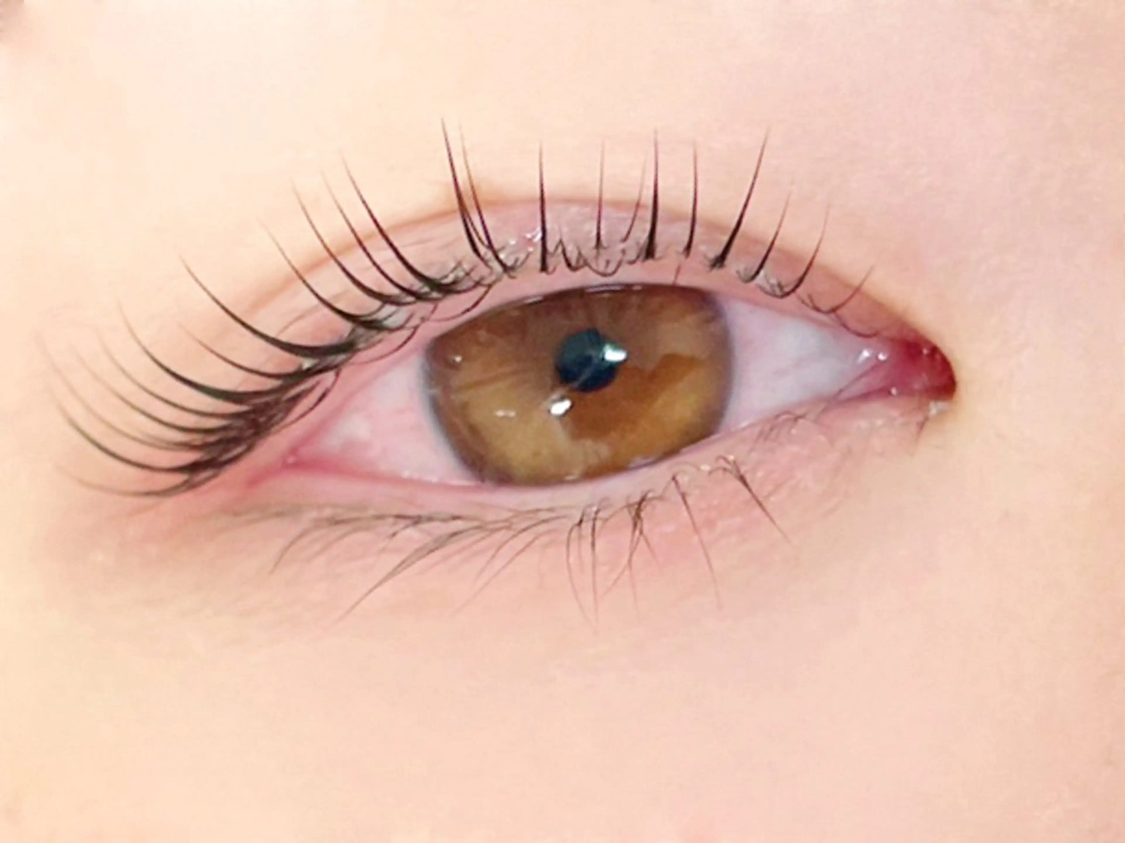 マツエク・マツパ アイニコ 熊本下通店のマツエク・マツパデザイン