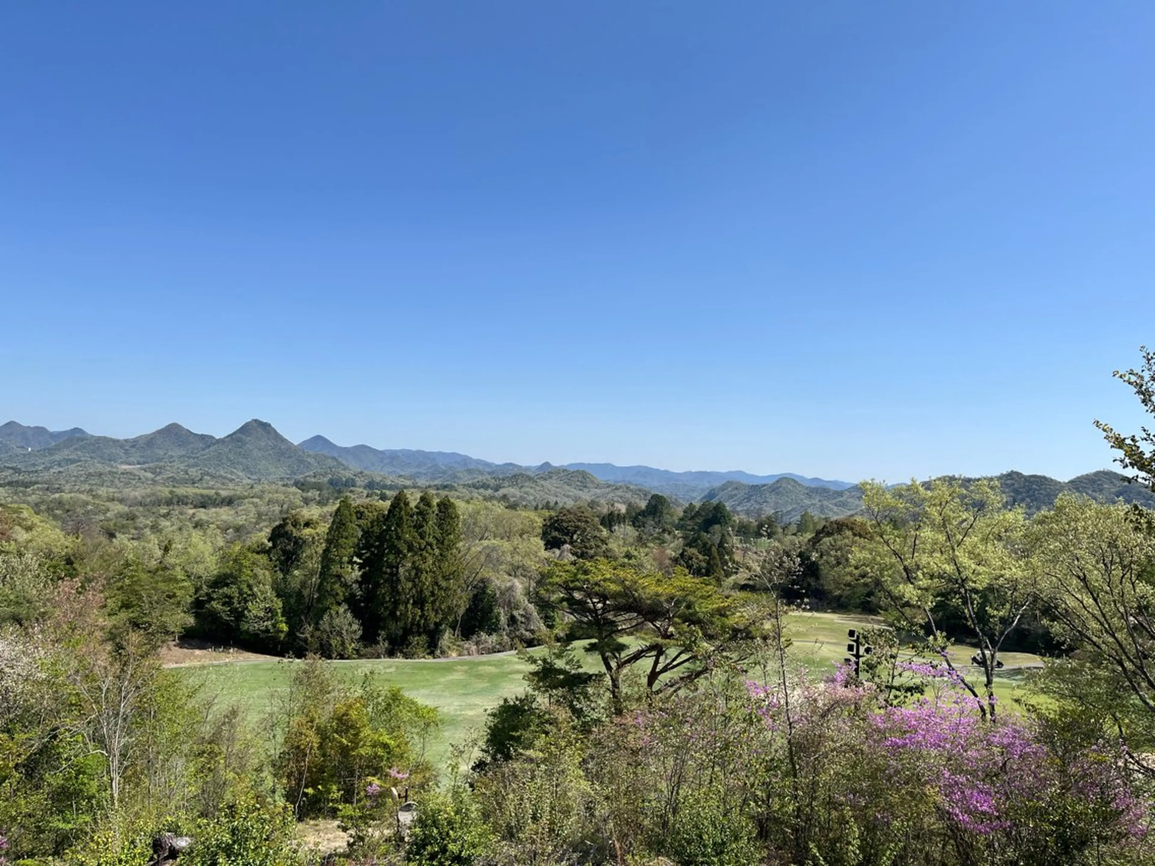 紙屋 隼人のヘアスタイル