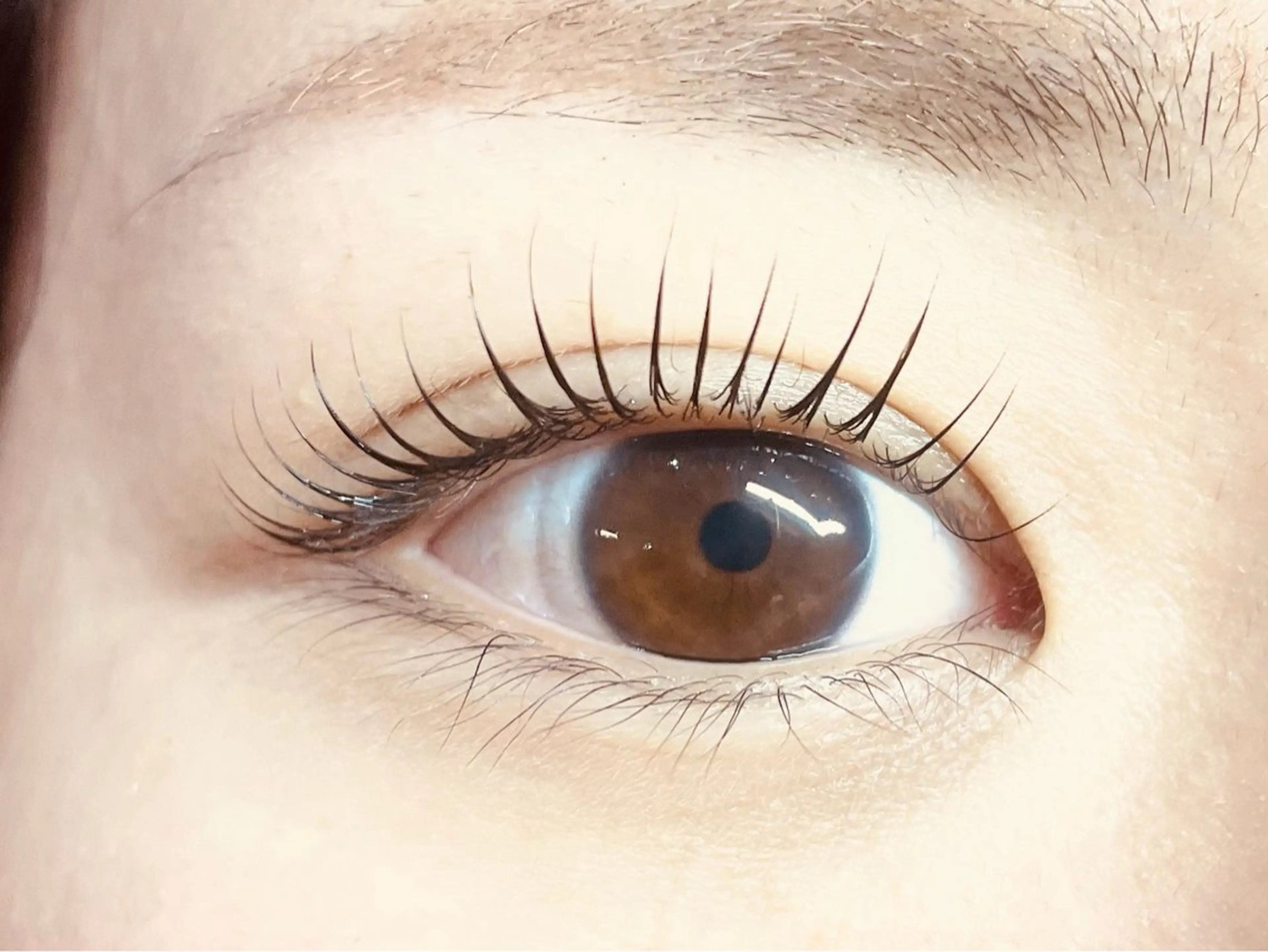 マツエク・マツパ マツパ 中村彩香 (エフドゥ)のマツエク・マツパデザイン