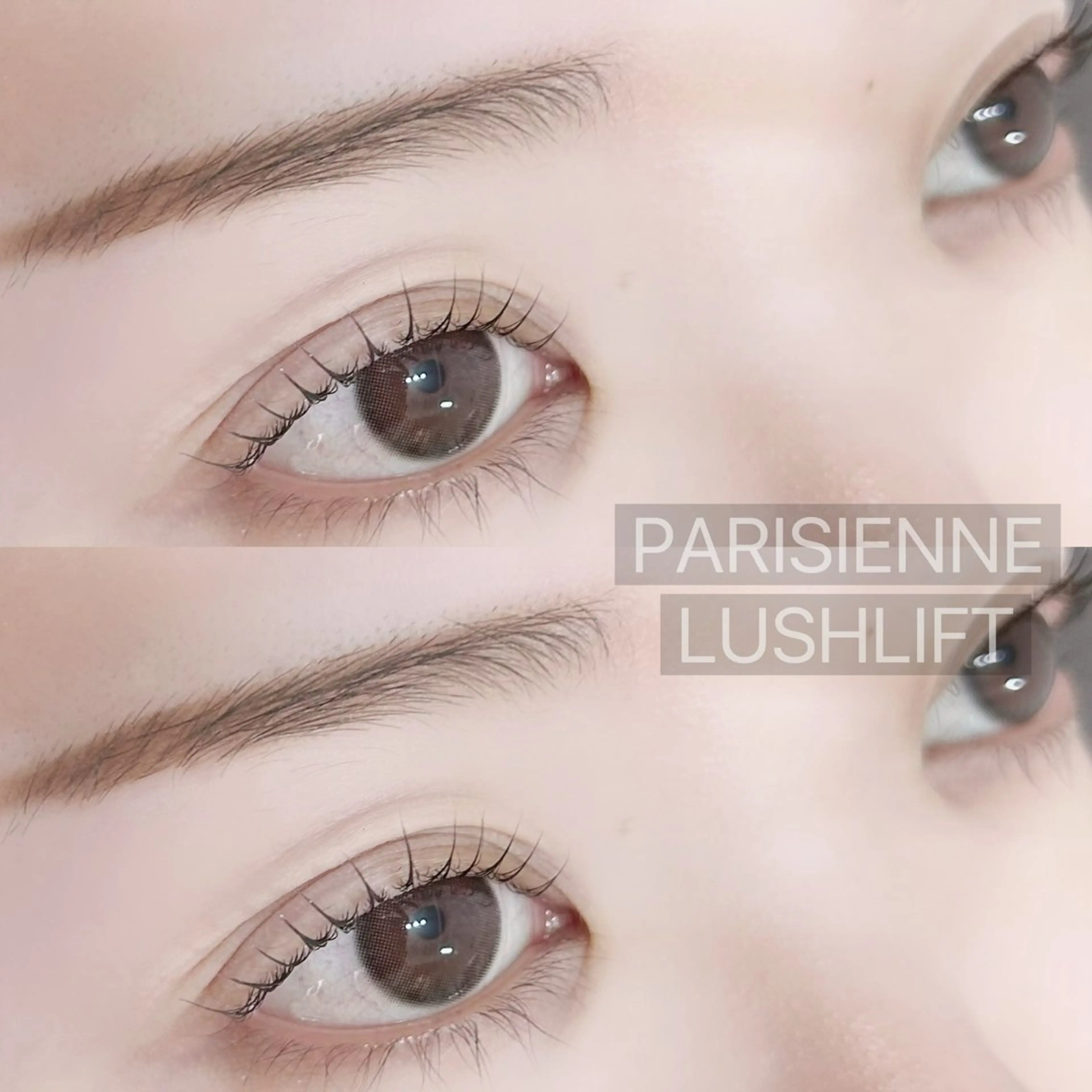 マツエク・マツパ パリジェンヌラッシュリフト マツパ eyelash Aoのマツエク・マツパデザイン