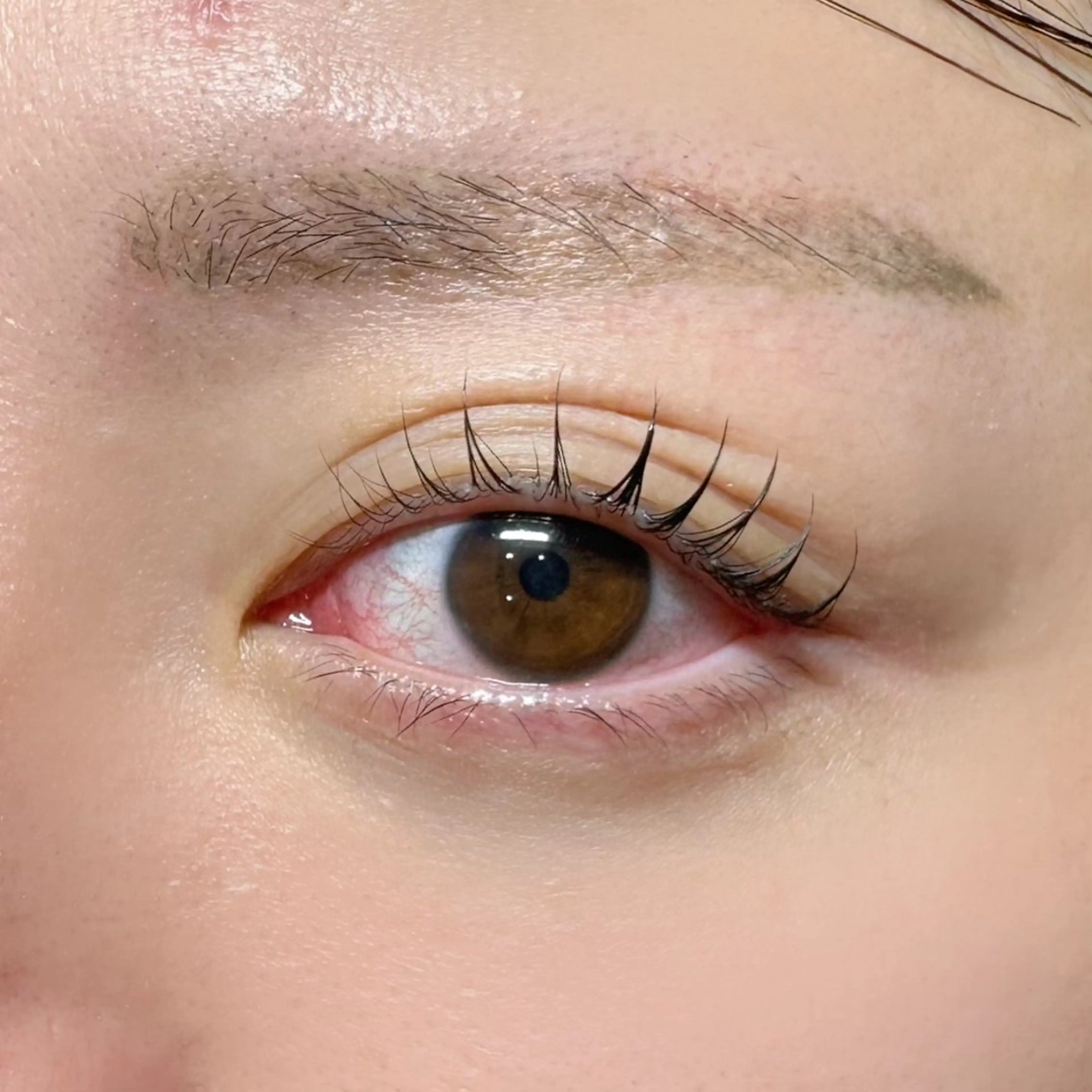 マツエク・マツパ NOA名駅束感まつげ ×眉毛SENA‪🎀のマツエク・マツパデザイン