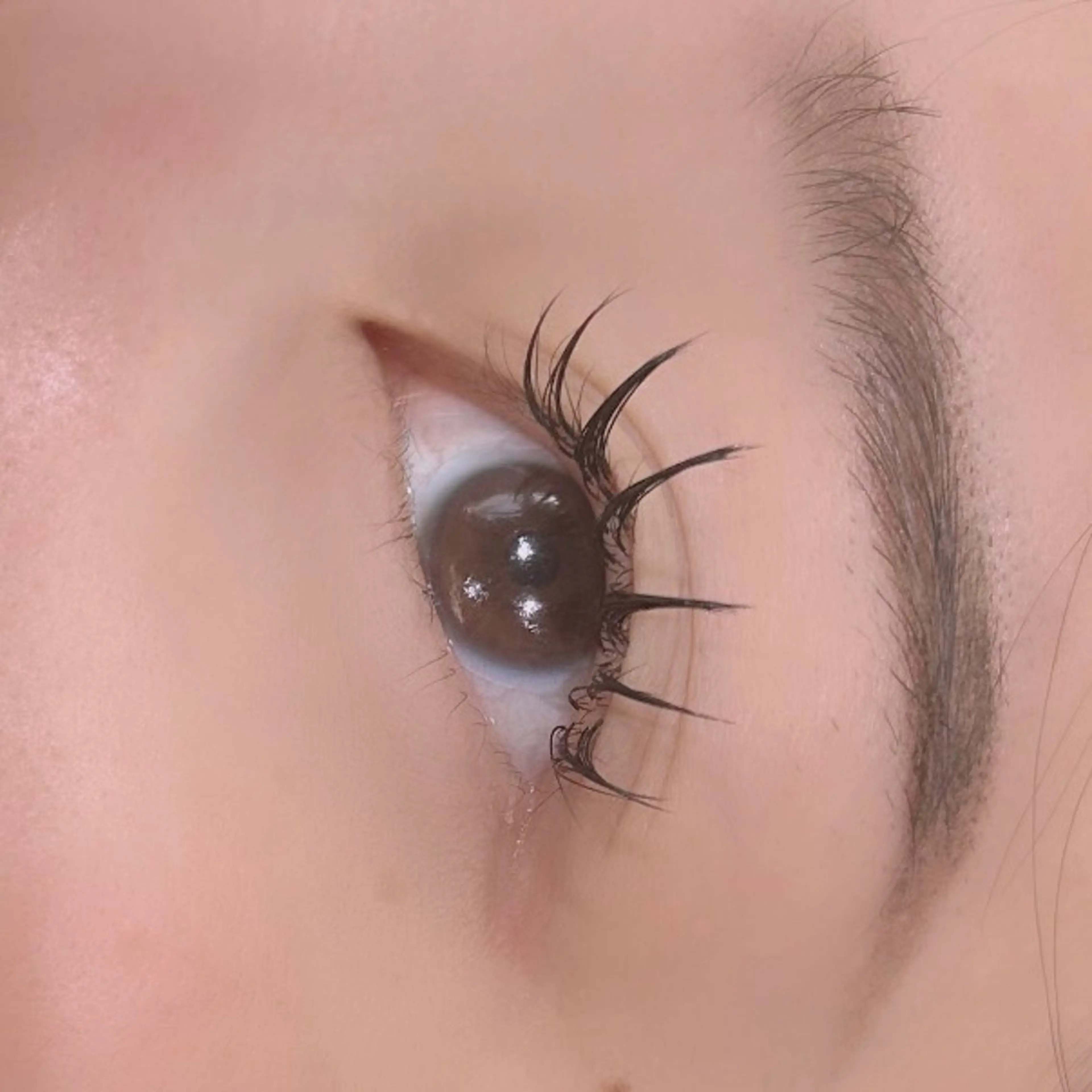 マツエク・マツパ hair&eye🎀 /momoKaのヘアスタイル