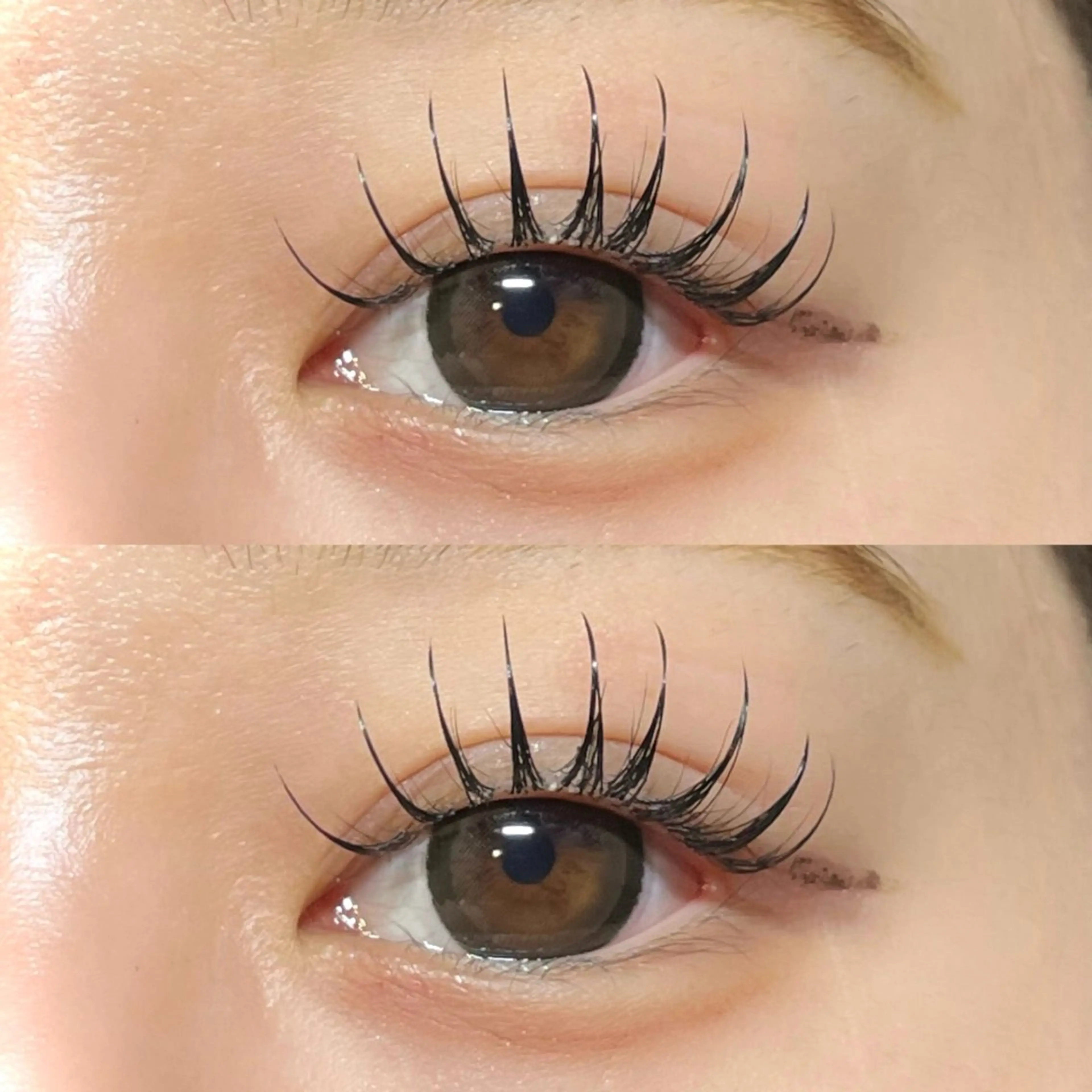 ⌇🌛パリエク🌛⌇パリジェンヌ➕フラットラッシュ120本👀逆まつげのかたも✨最強パッチリ🧡🧡の写真