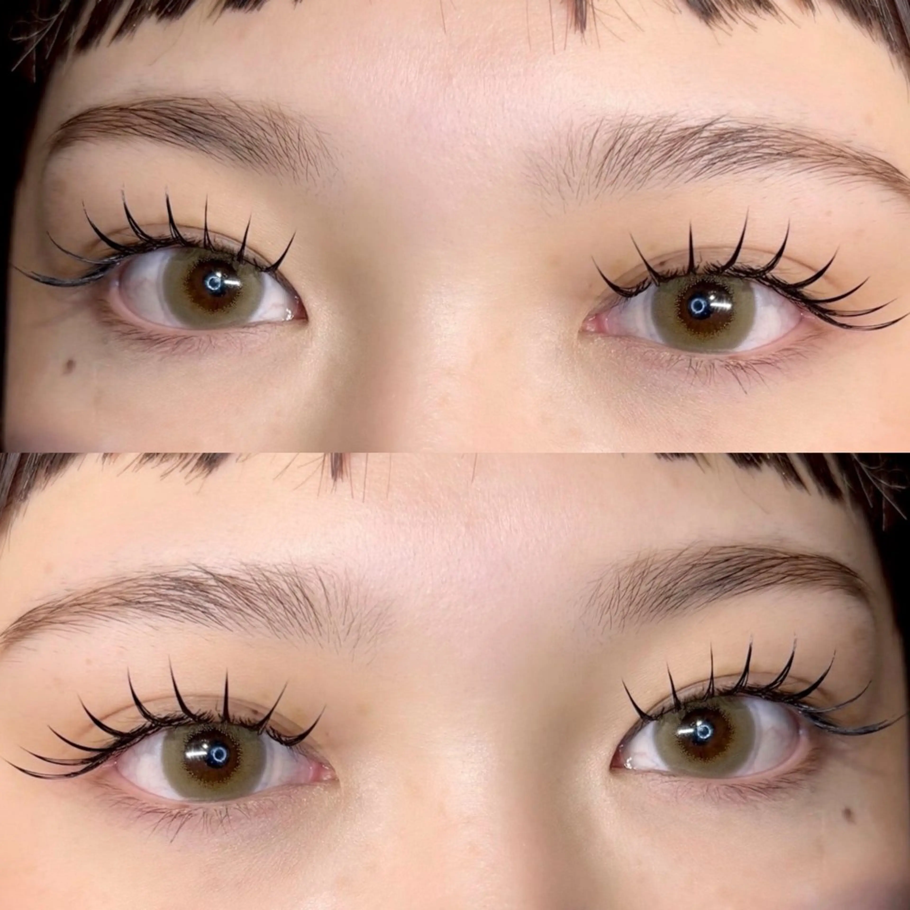 フラットラッシュ120本の写真