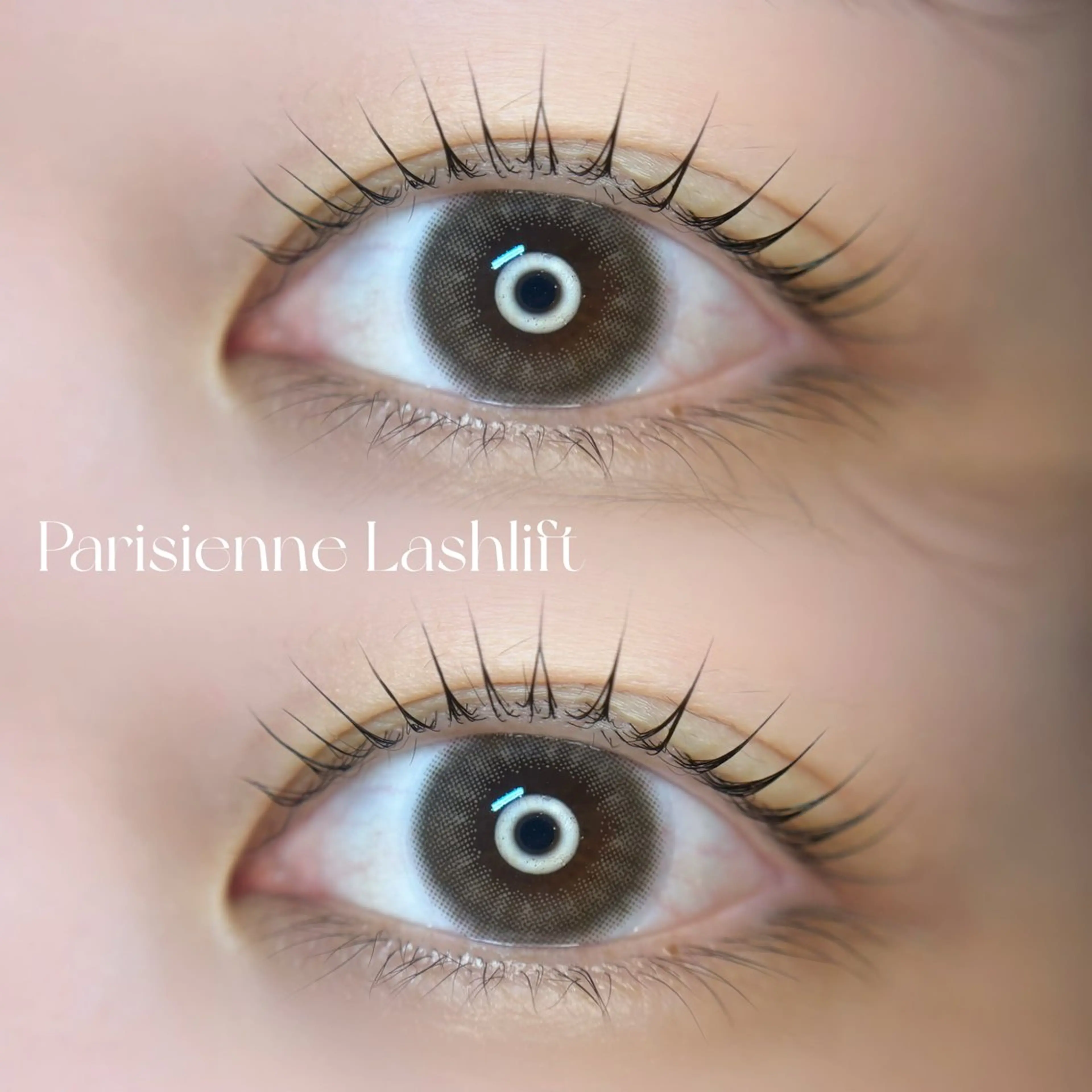 【人気No.1🕊】パリジェンヌラッシュリフト🌿の写真