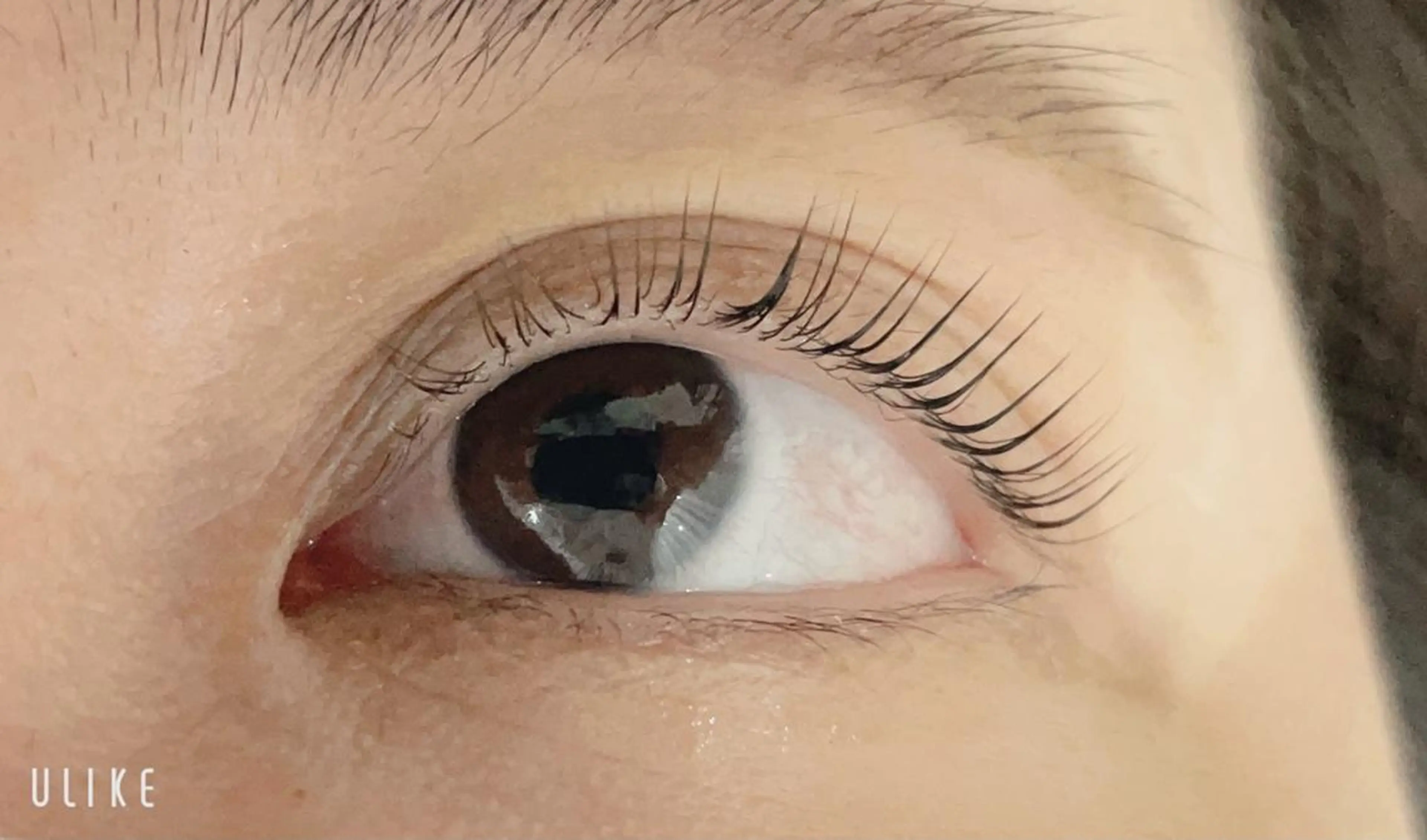 マツエク・マツパ マツパ kuu+r 上野店のマツエク・マツパデザイン