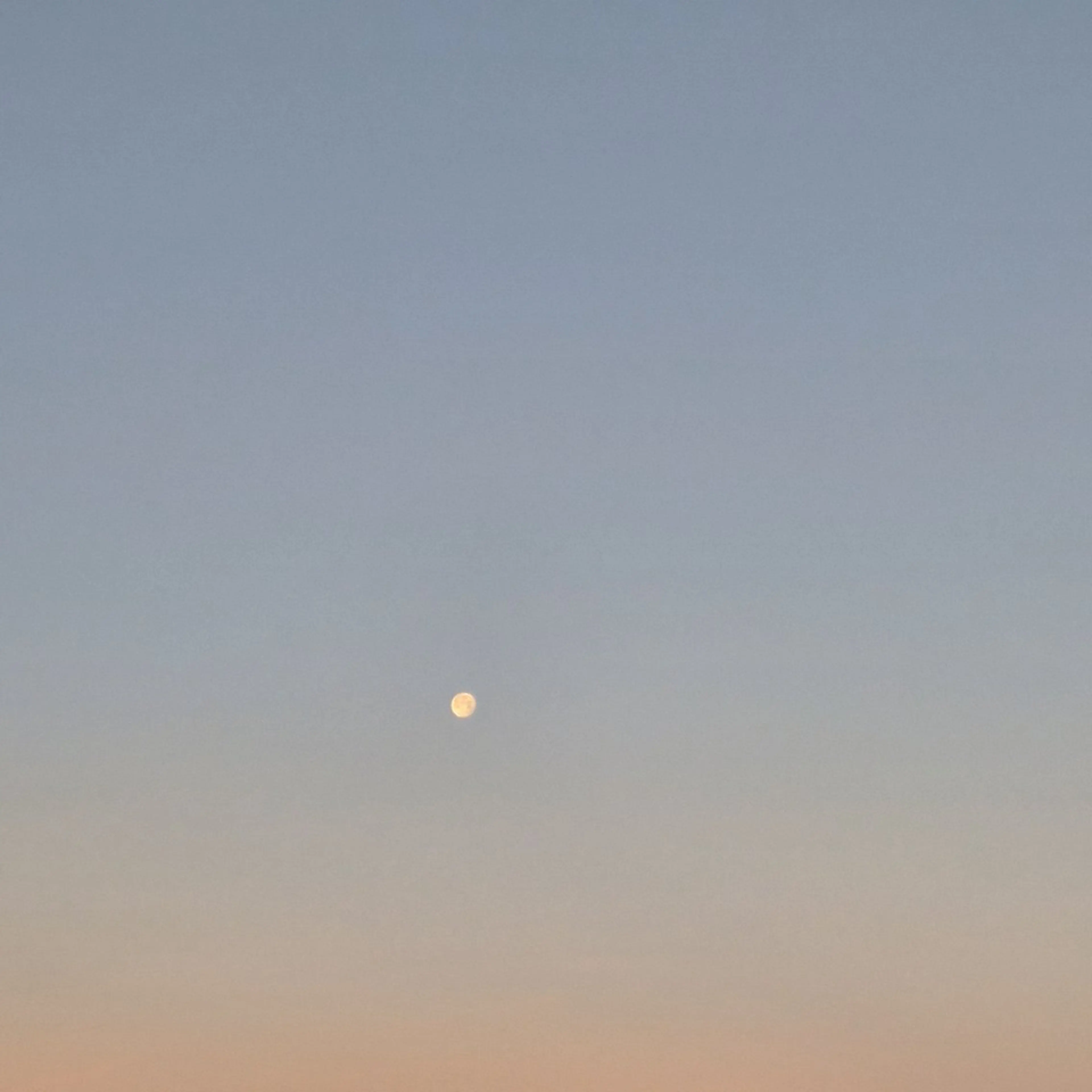 マツエク・マツパ SLEEPbyRe  Naoのマツエク・マツパデザイン