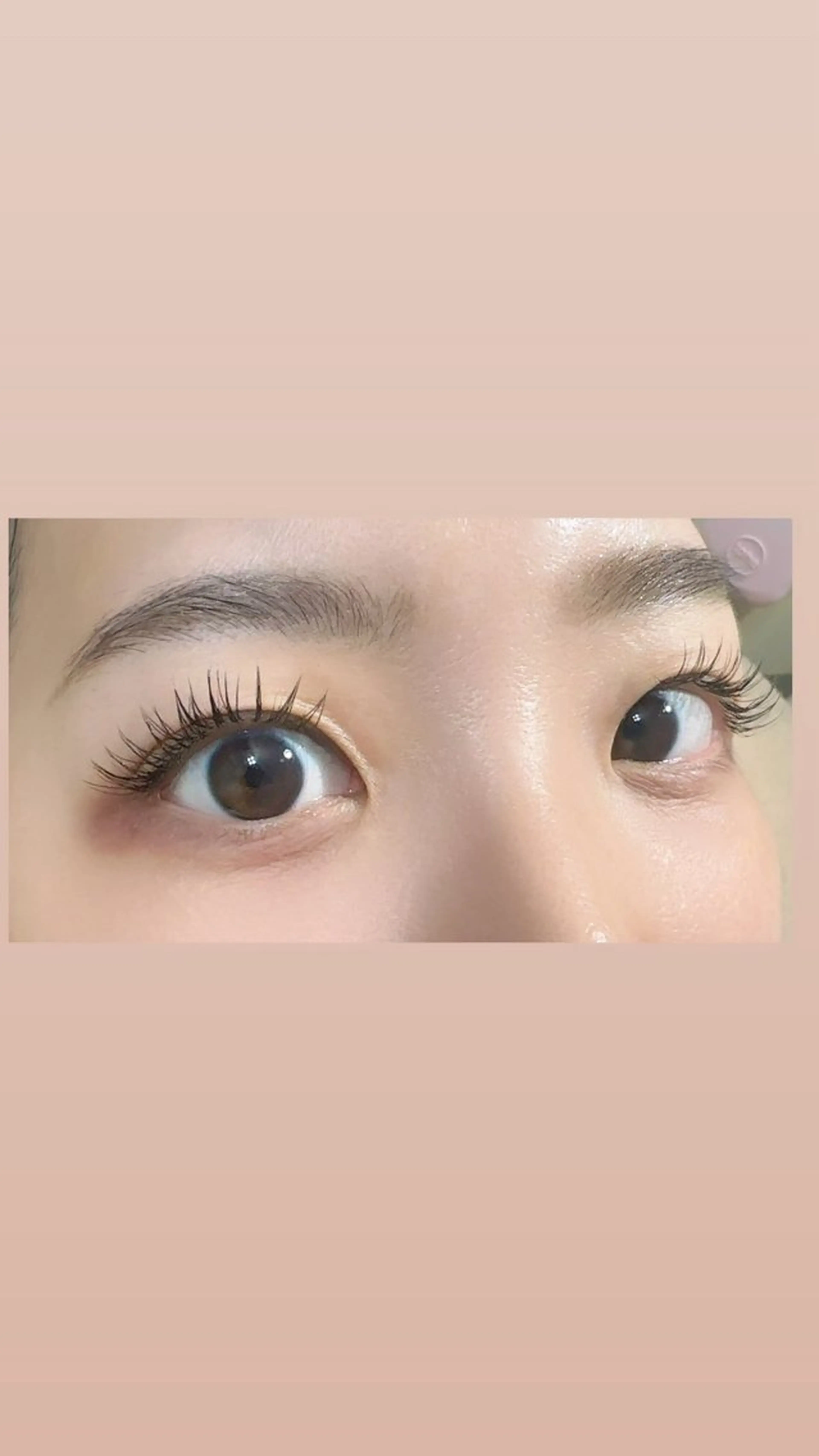 マツエク・マツパ ケラチンラッシュリフト バインドロック フラットラッシュ まつげパーマ マツエク アモロッソ 🐻Miiのマツエク・マツパデザイン