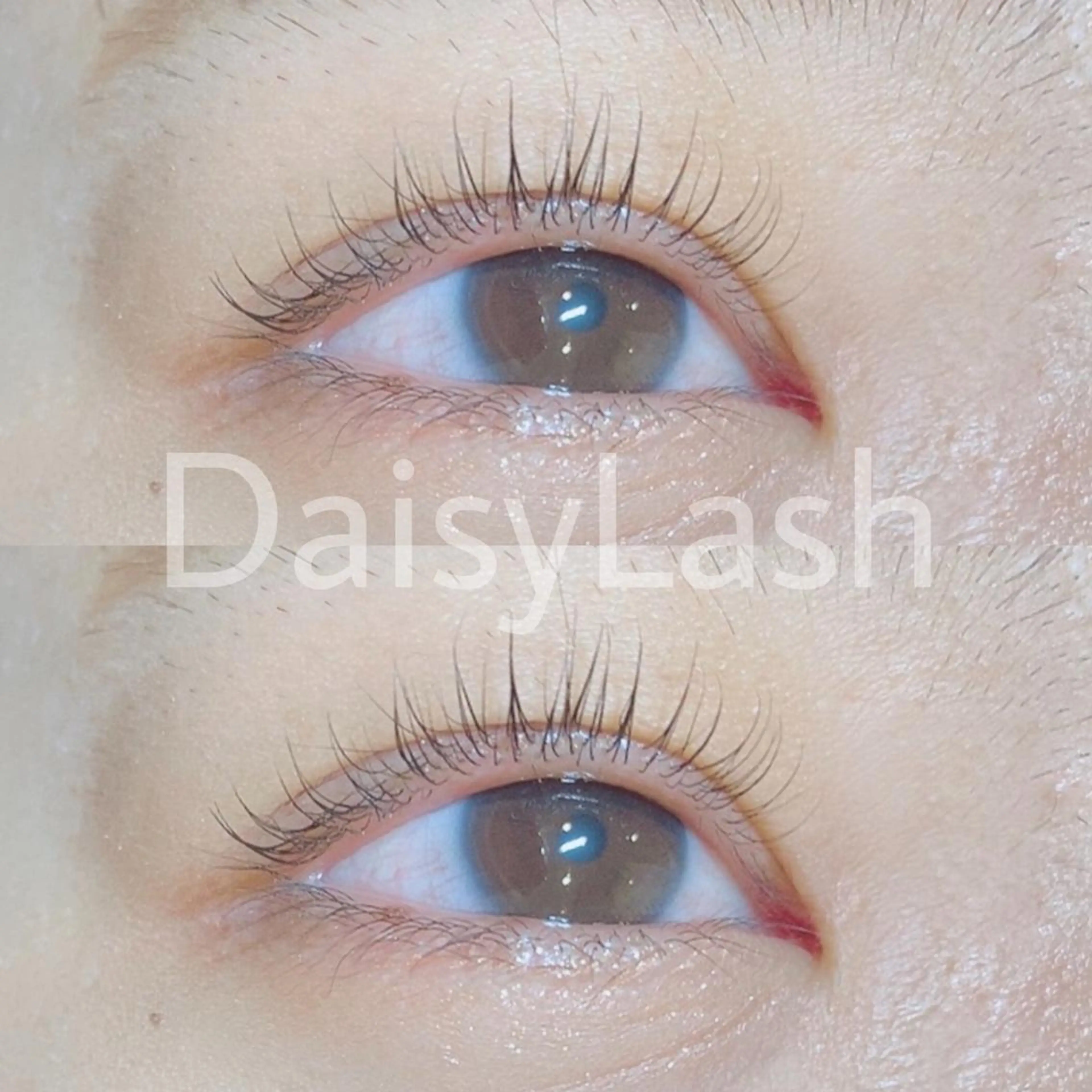 マツエク・マツパ DaisyLash 京橋店のマツエク・マツパデザイン