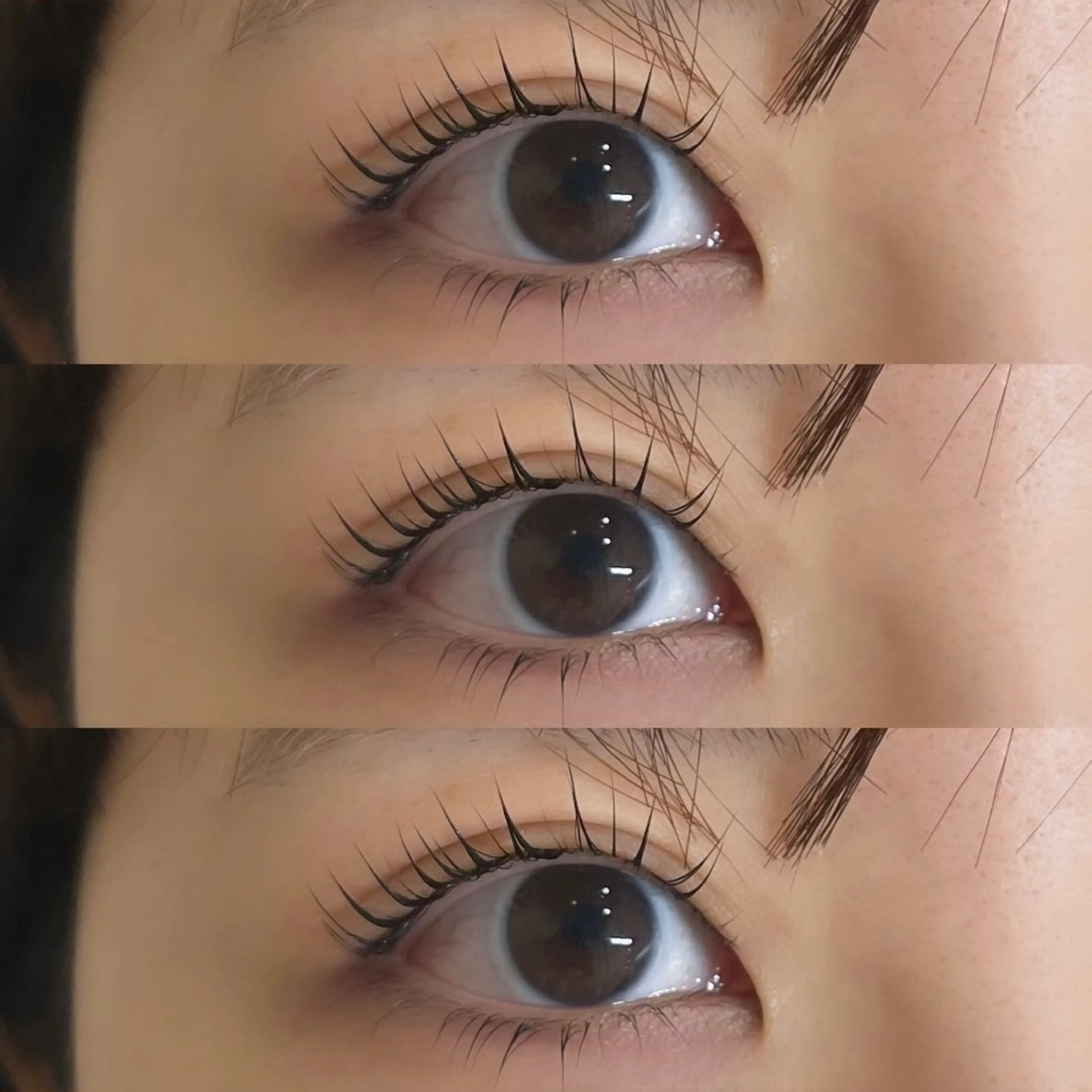 根本からしっかり立ち上げる上下パリジェンヌラッシュリフト🤍の写真