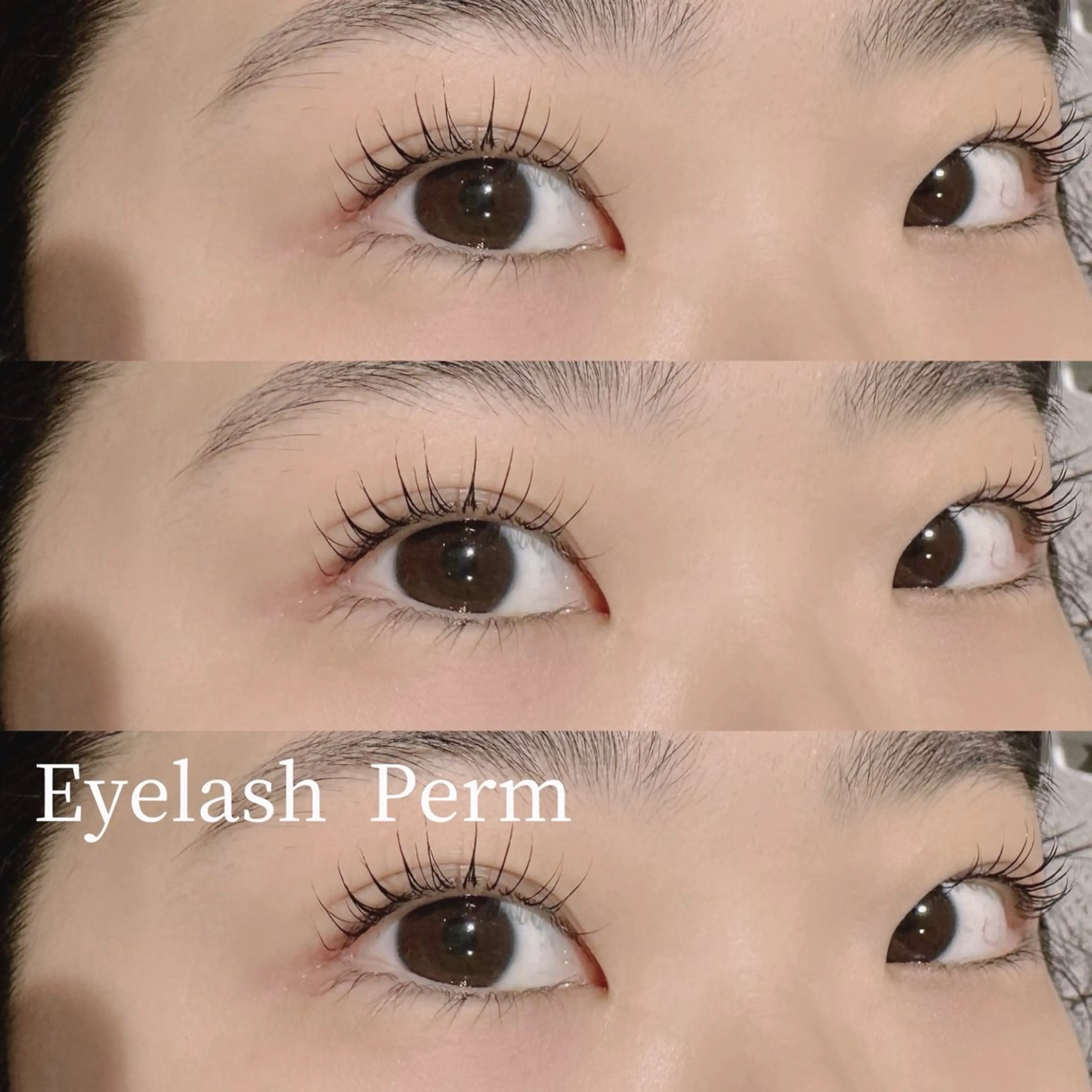 マツエク・マツパ パリジェンヌラッシュリフト マツパ natsumi🎀 新丸子・武蔵小杉のマツエク・マツパデザイン