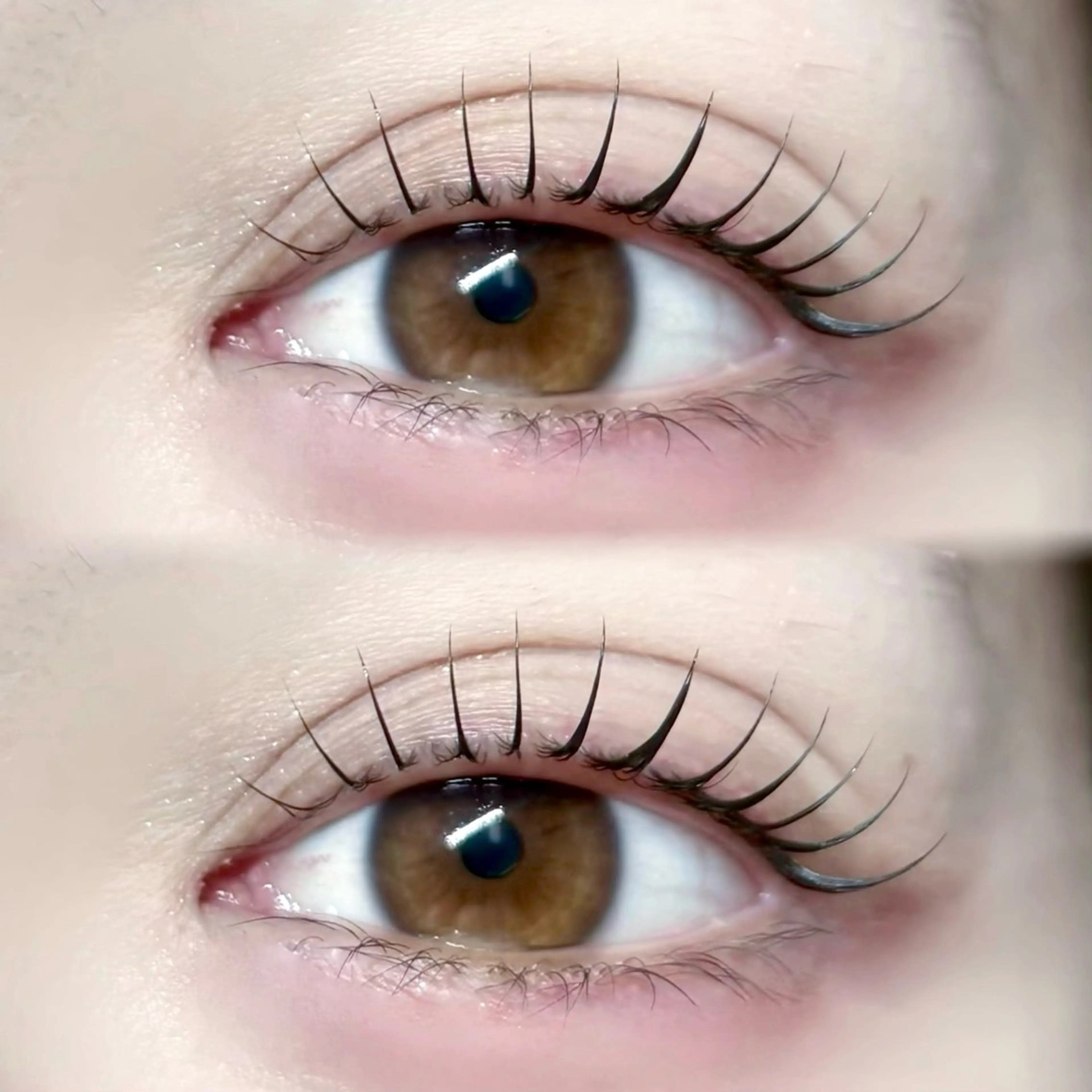 マツエク・マツパ 韓国風マツエク マツパ 韓国式まつぱ💕/ 束間まつげ/runaのマツエク・マツパデザイン