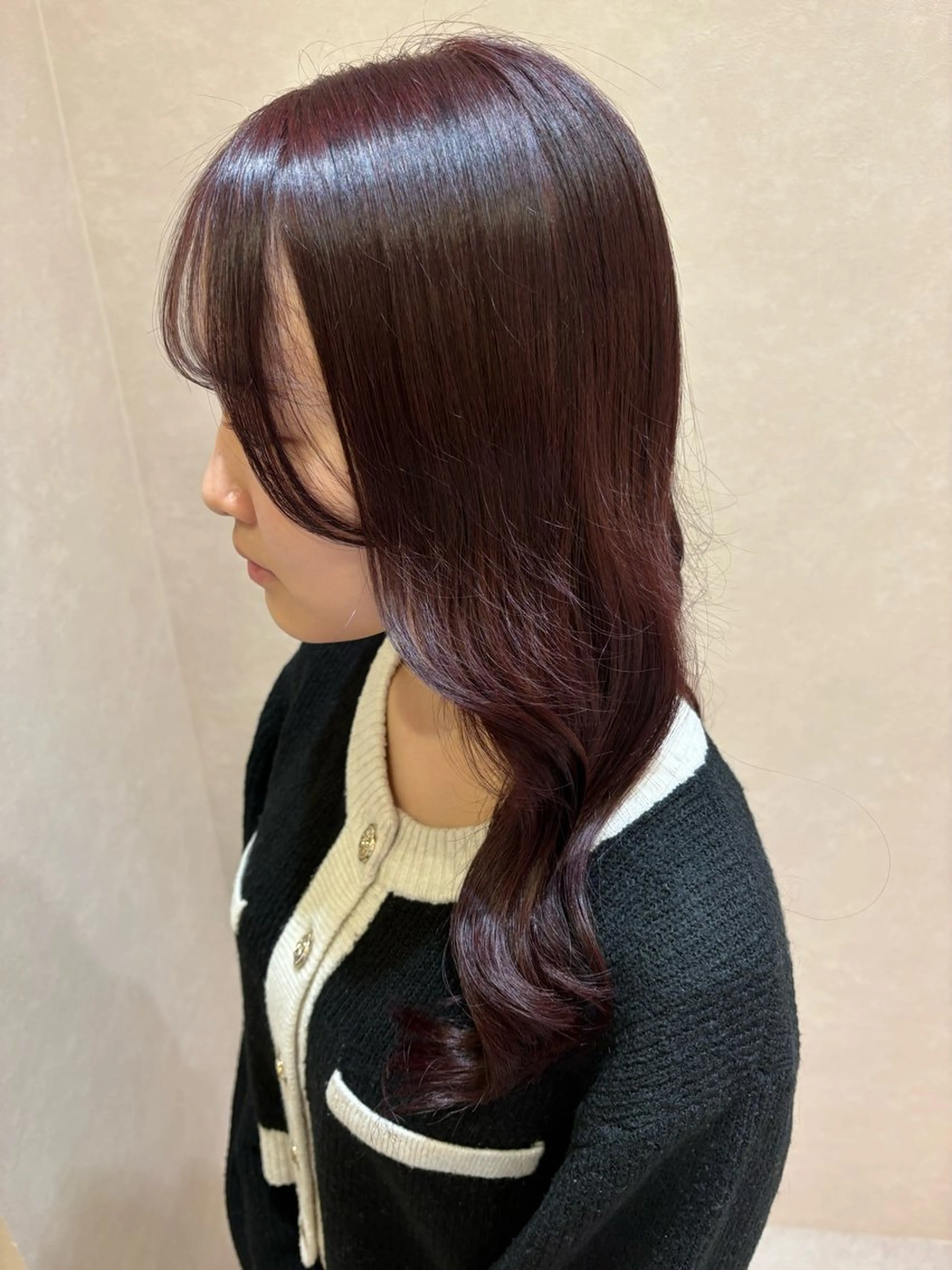 ワンカラーの写真