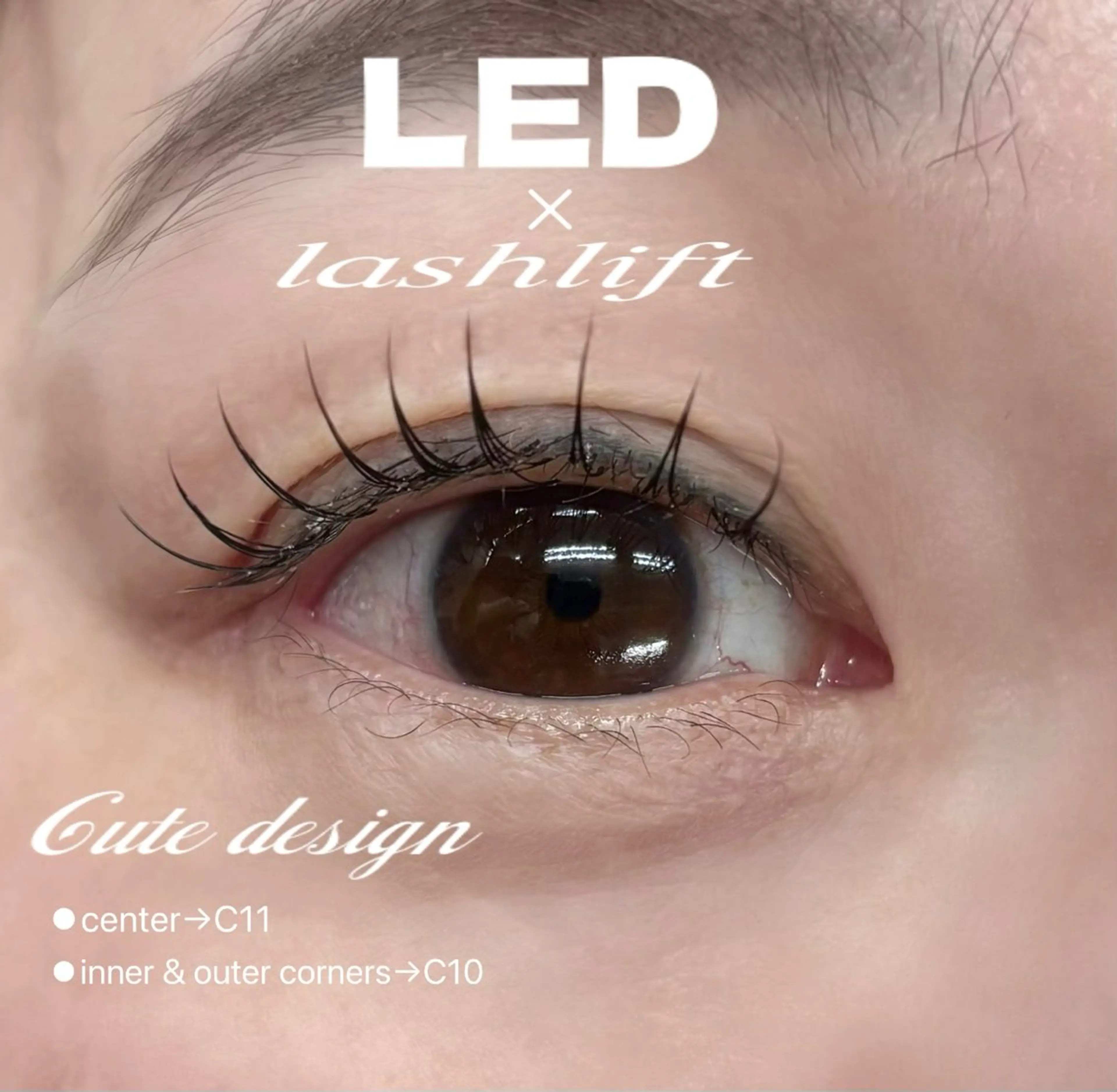 《❣️急募❣️》【4月15日（水）10:00​〜​】⭐️LED×フラットラッシュ80本モデル募集⭐️の写真