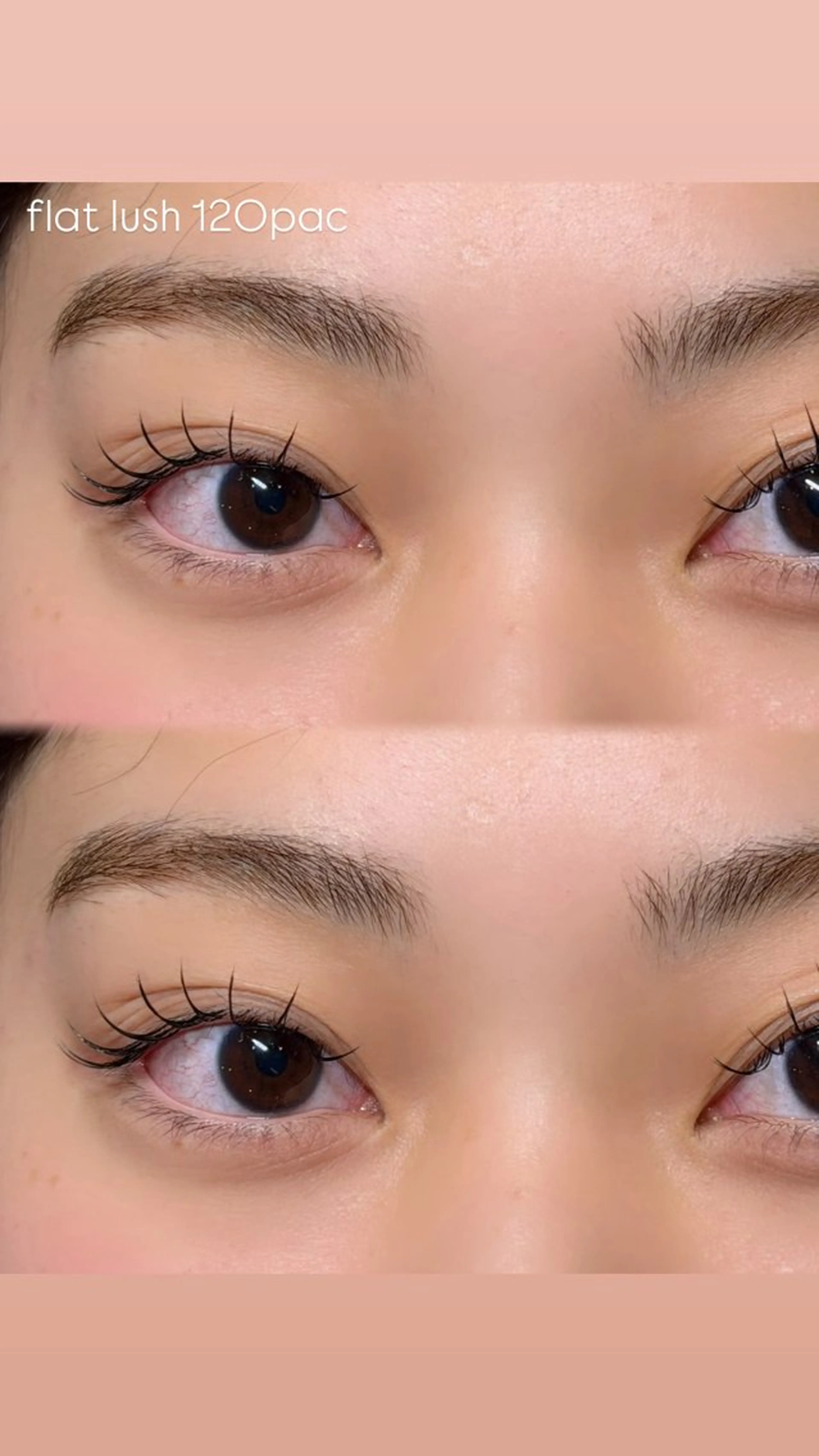 マツエク🪽フラットラッシュ130本🤍🩵の写真