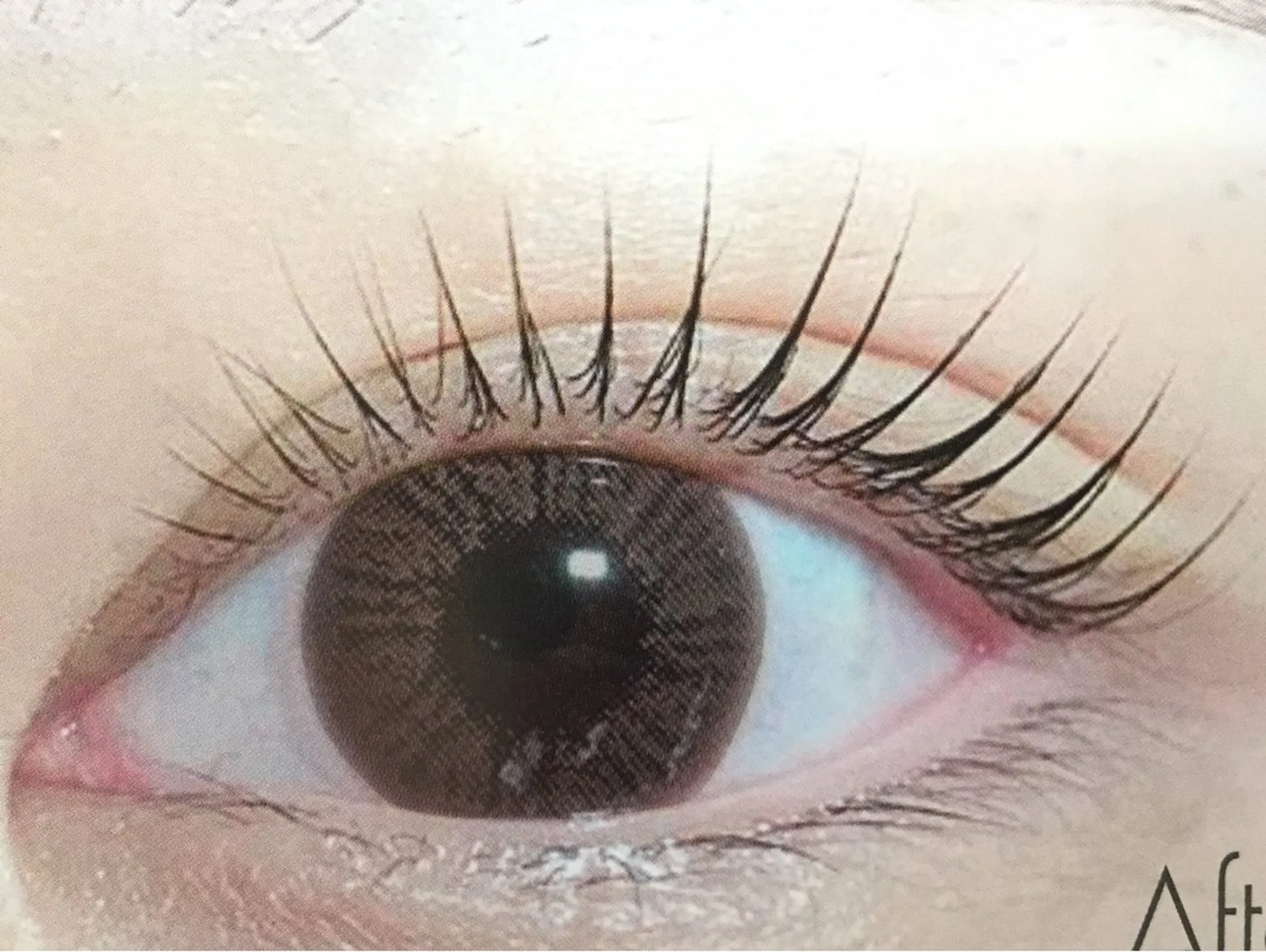 パリジェンヌラッシュリフトトリートメント込みの写真