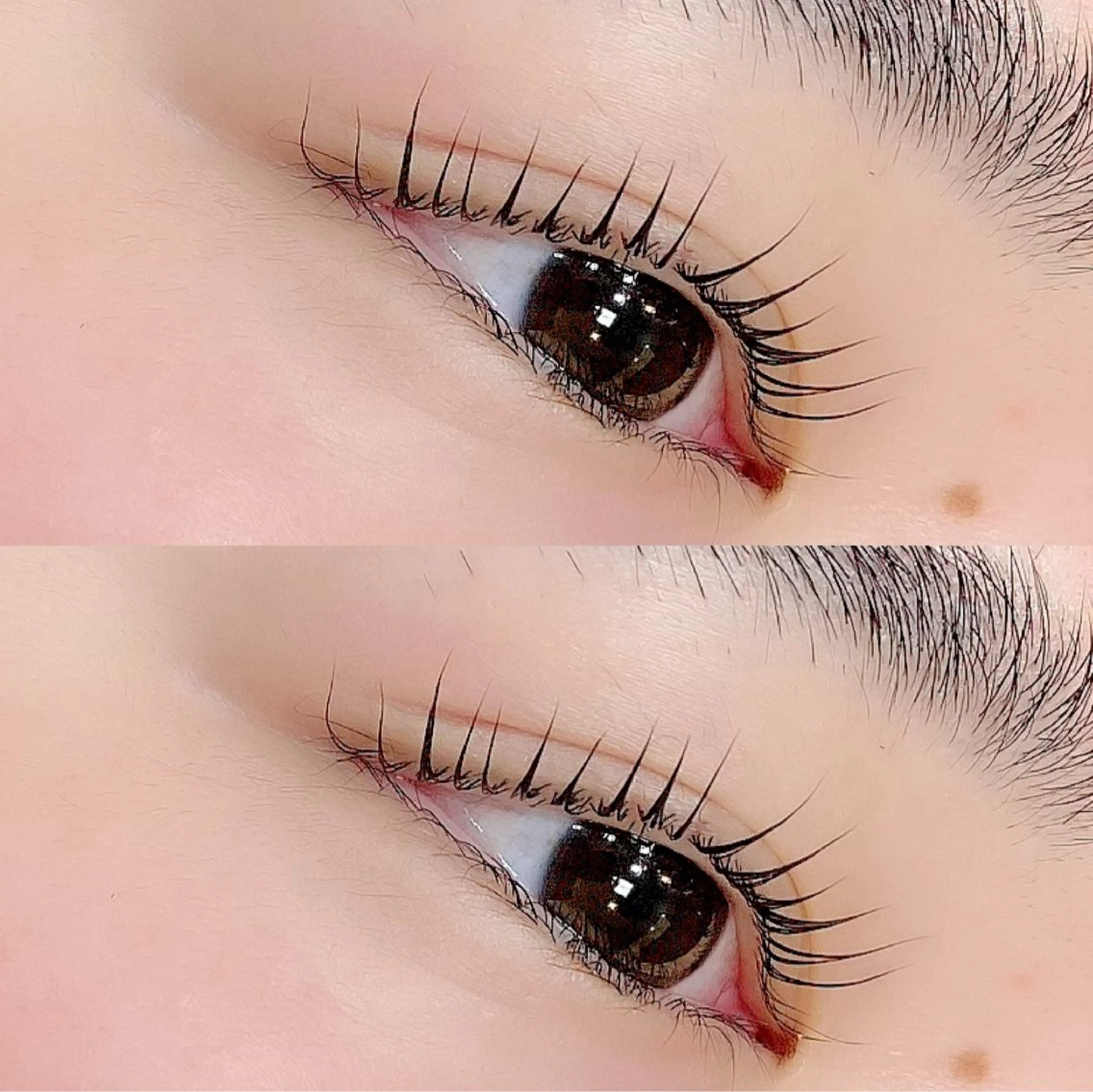 マツエク・マツパ マツパ アルターエクラ 飯島のマツエク・マツパデザイン