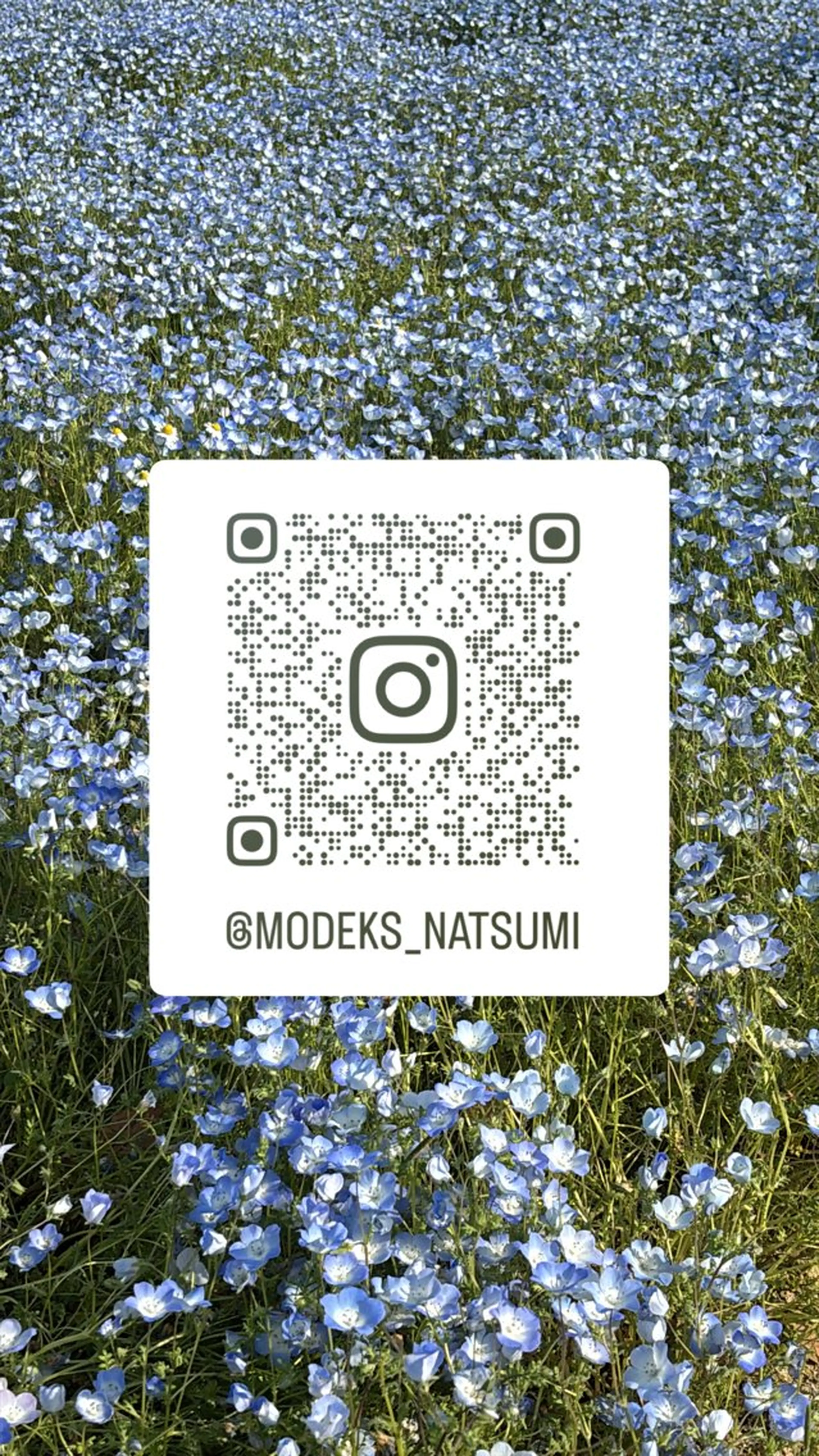 natsumi🍀 /modek’s尼崎のヘアスタイル