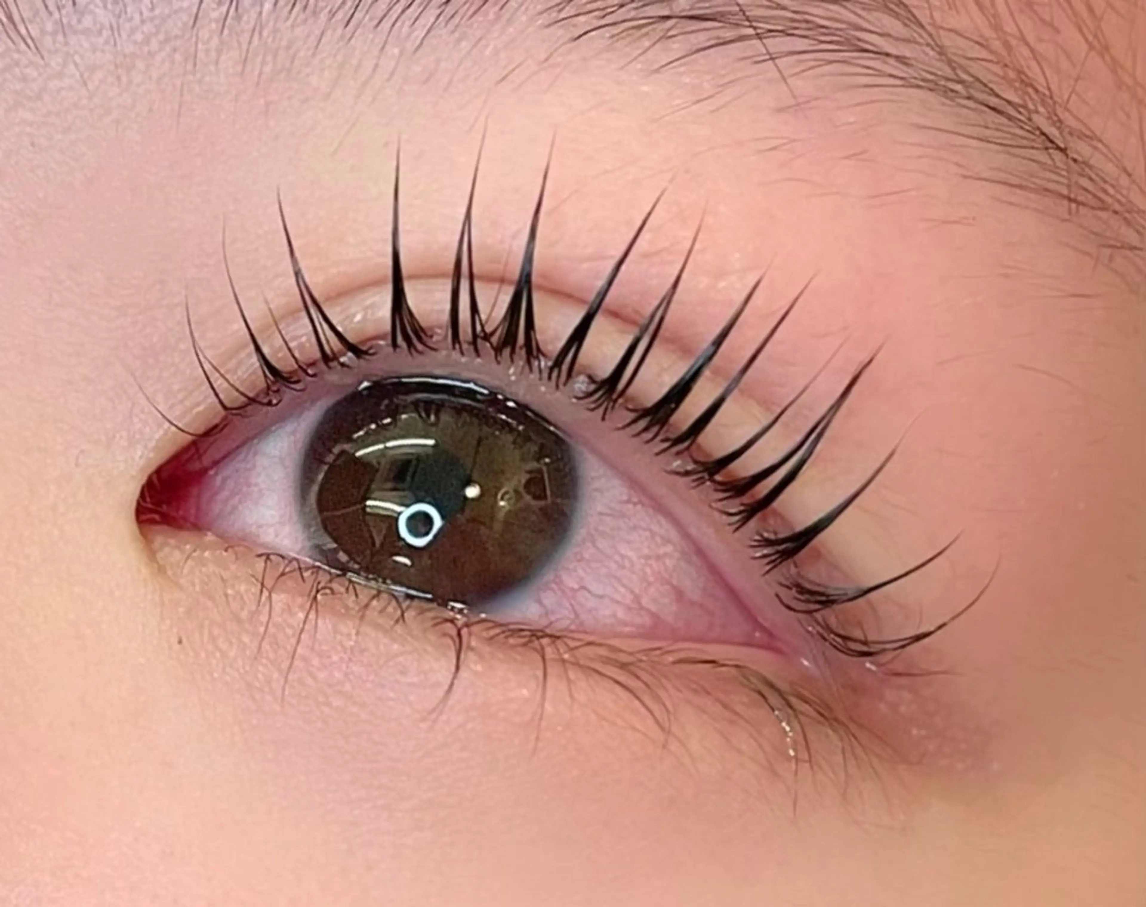 マツエク・マツパ eyelash pinna.所属・eyelash pinna.のマツエク・マツパデザイン