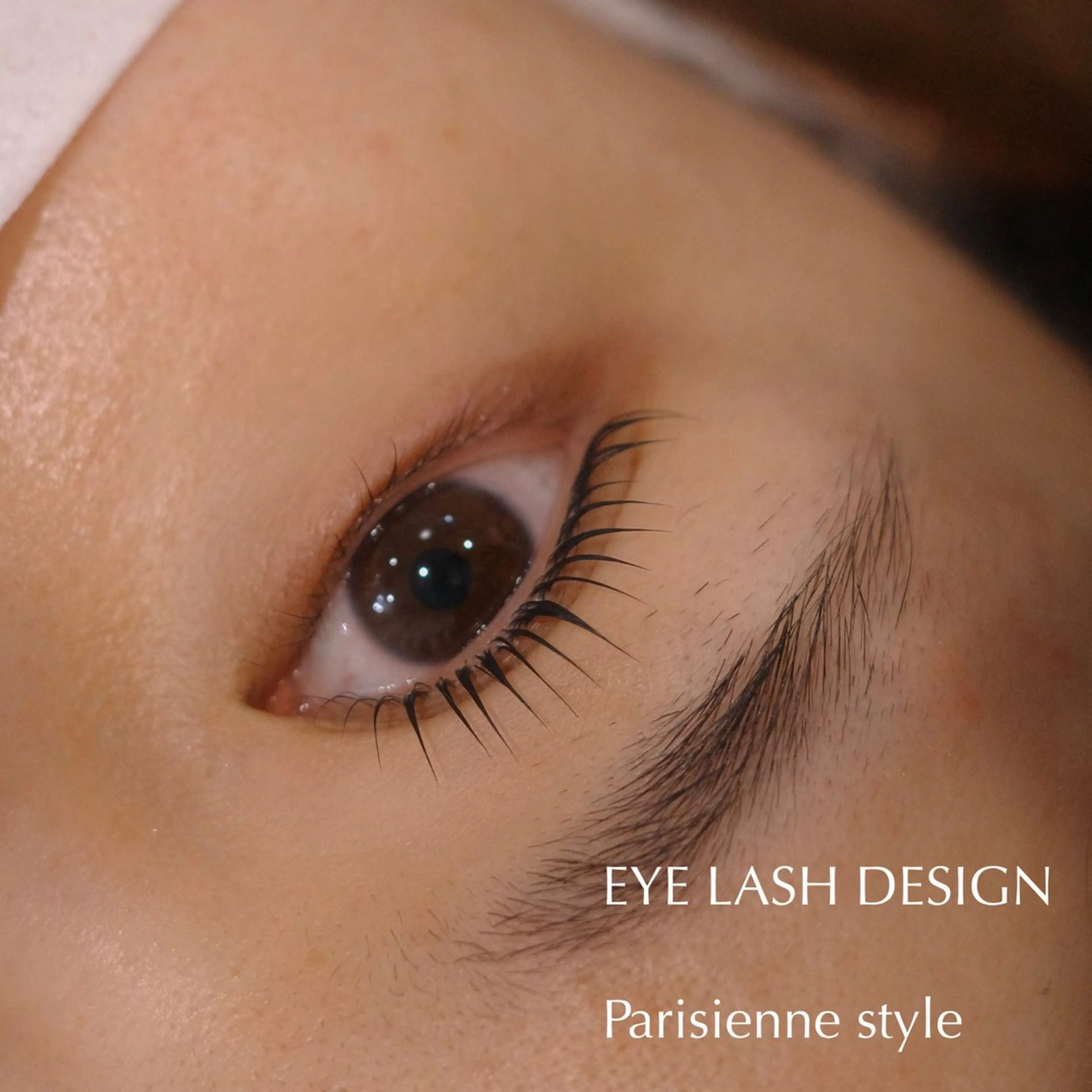 【ハイブリッドカール】パリジェンヌ風ラッシュリフト。理想のお目元に♩の写真