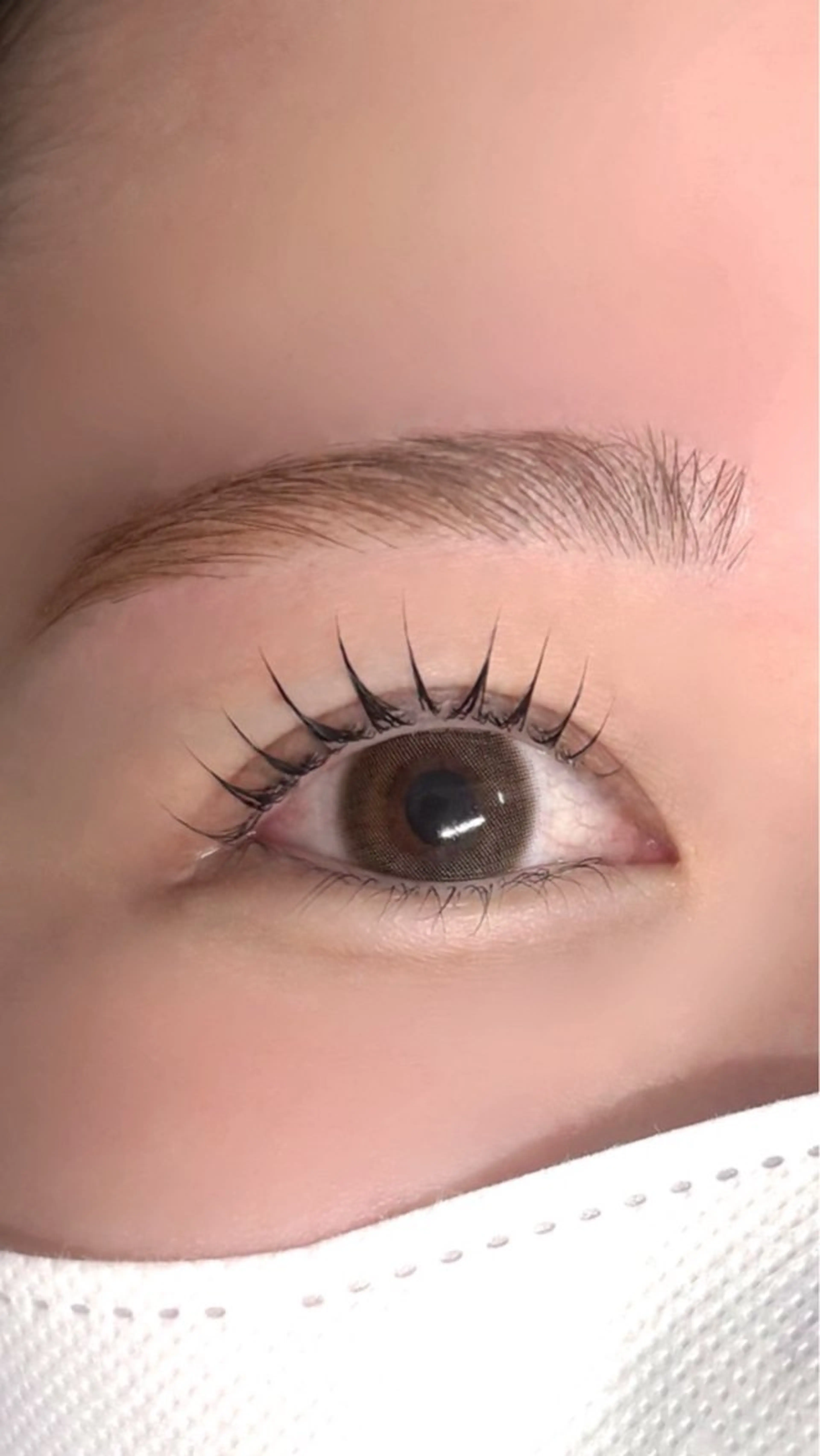 ããŒã avectoi ð»ð²ð·ðªã®ãããšã¯ã»ããããã¶ã€ã³