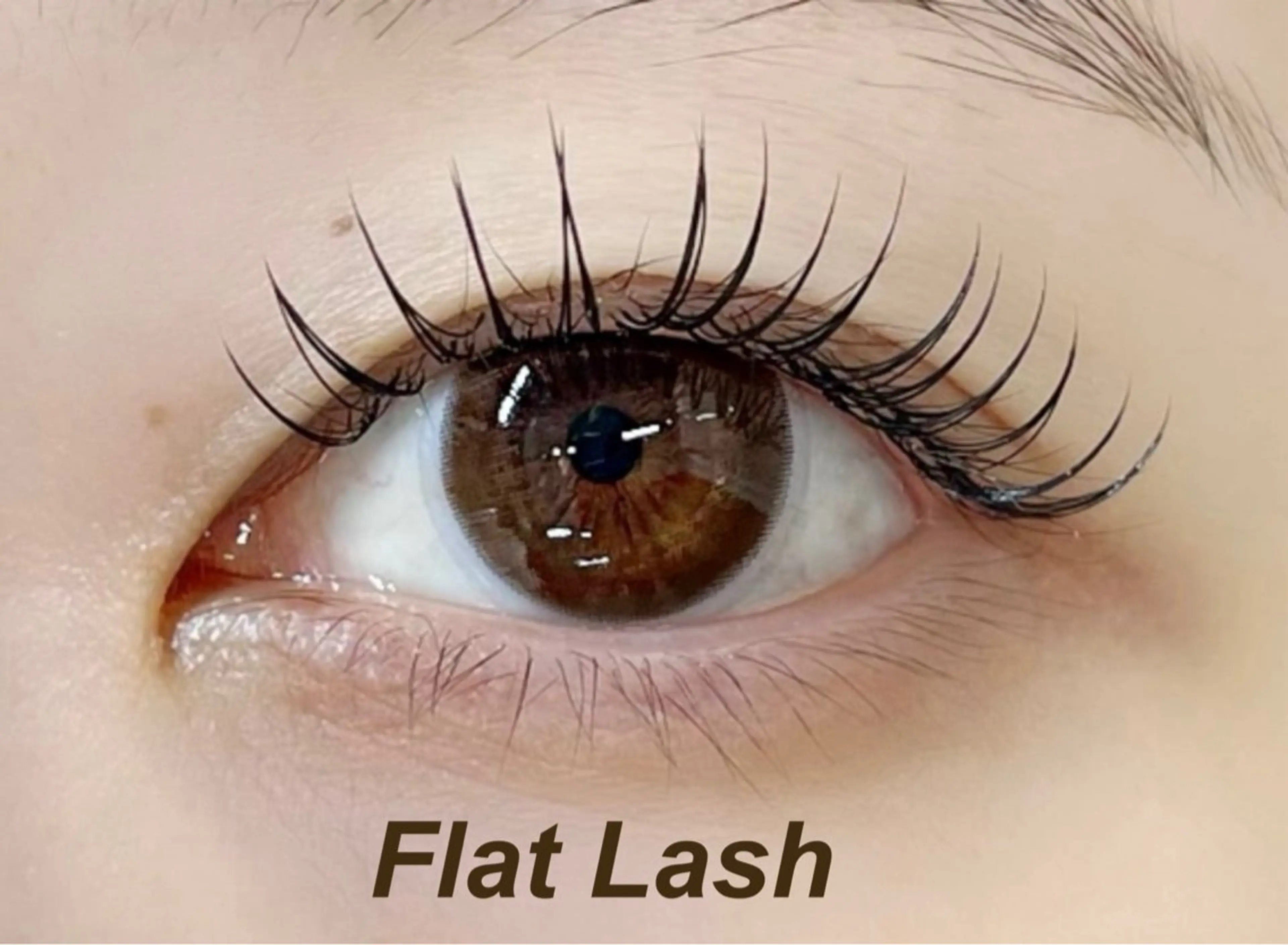 マツエク/フラットラッシュ/ 100本　¥4400の写真