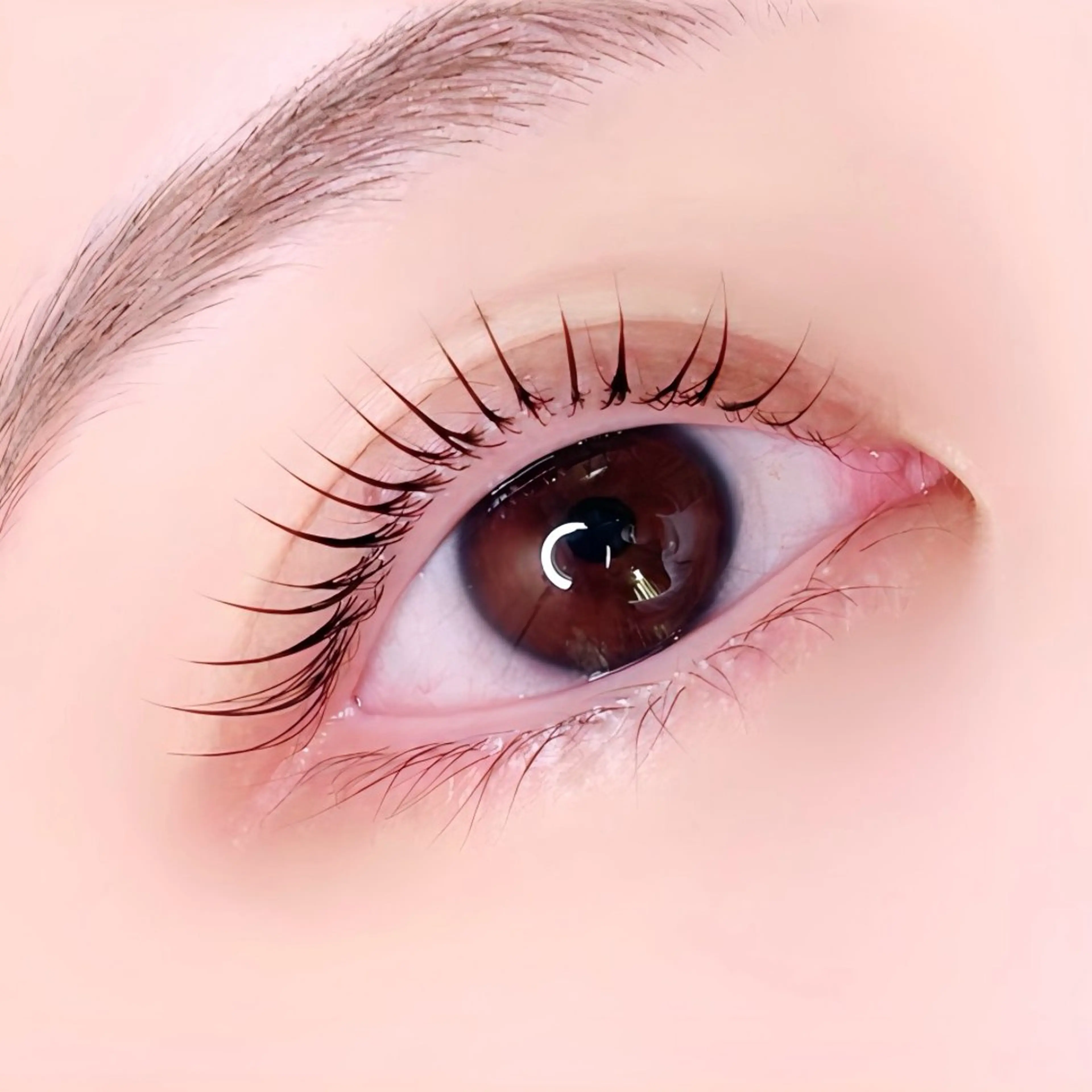 マツエク・マツパ 束感まつ毛 まつげパーマ ‎🪞Be.┊ Miku┊マツパ🌙のマツエク・マツパデザイン