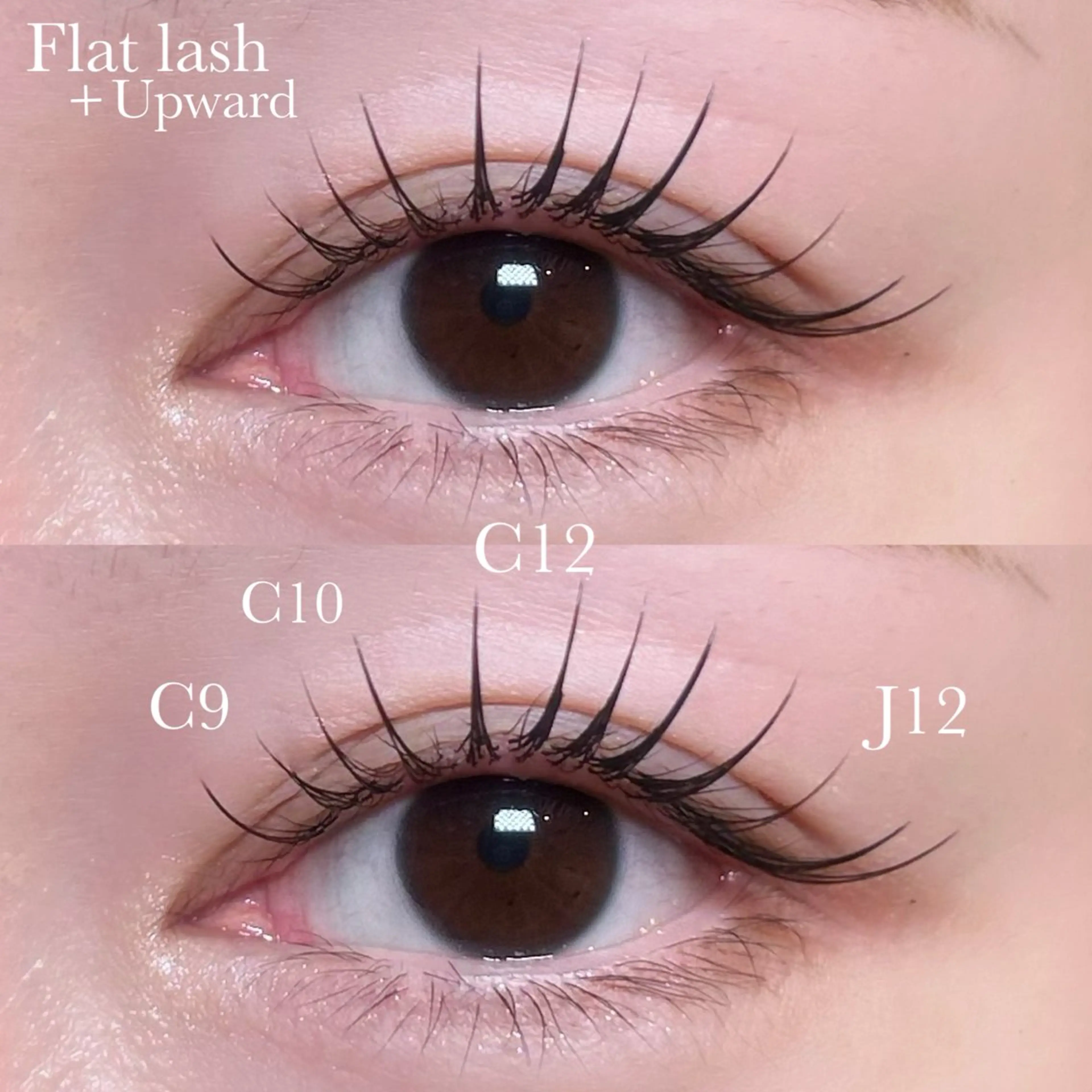 アップワード＋フラットラッシュ80本🦋の写真