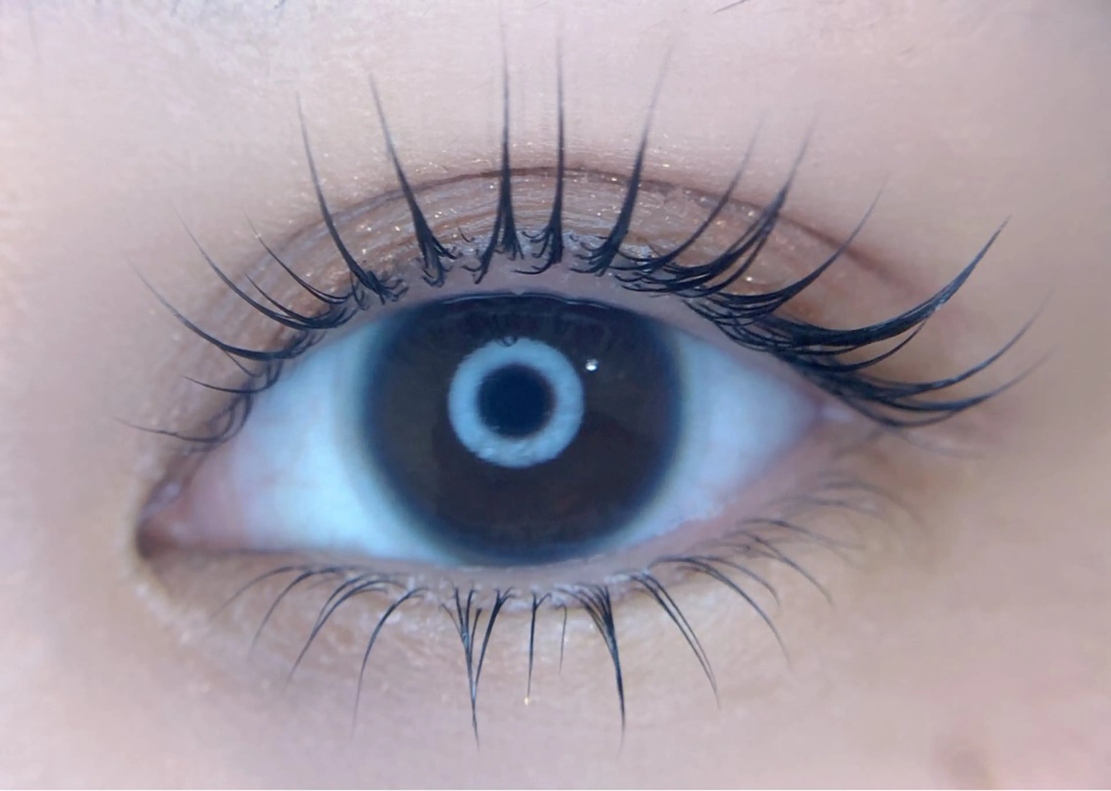 マツエク・マツパ arce -ｱﾙｾ- 🔅ヒマワリのマツエク・マツパデザイン