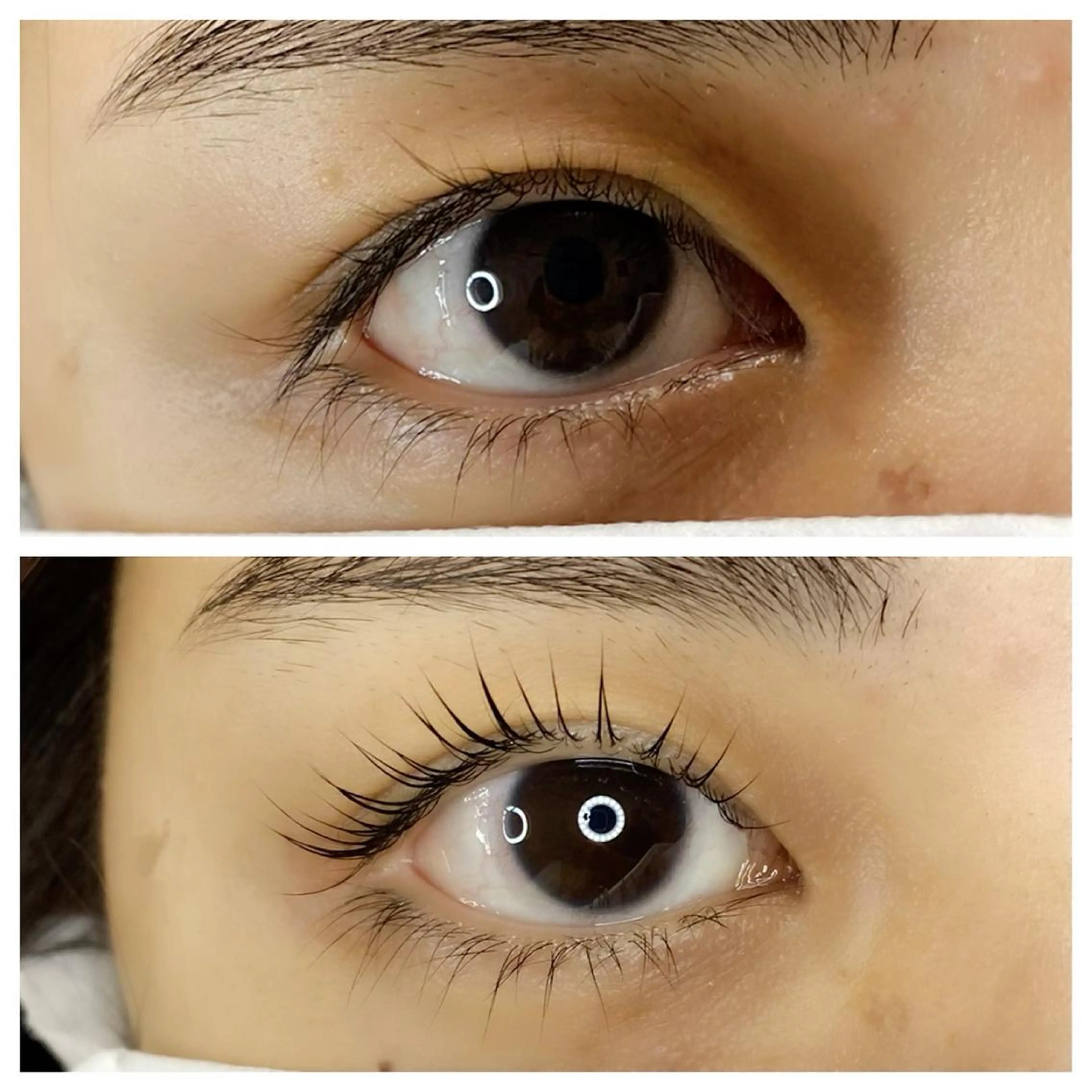 マツエク・マツパ パリジェンヌラッシュリフト マツパ Noël ゆりのマツエク・マツパデザイン