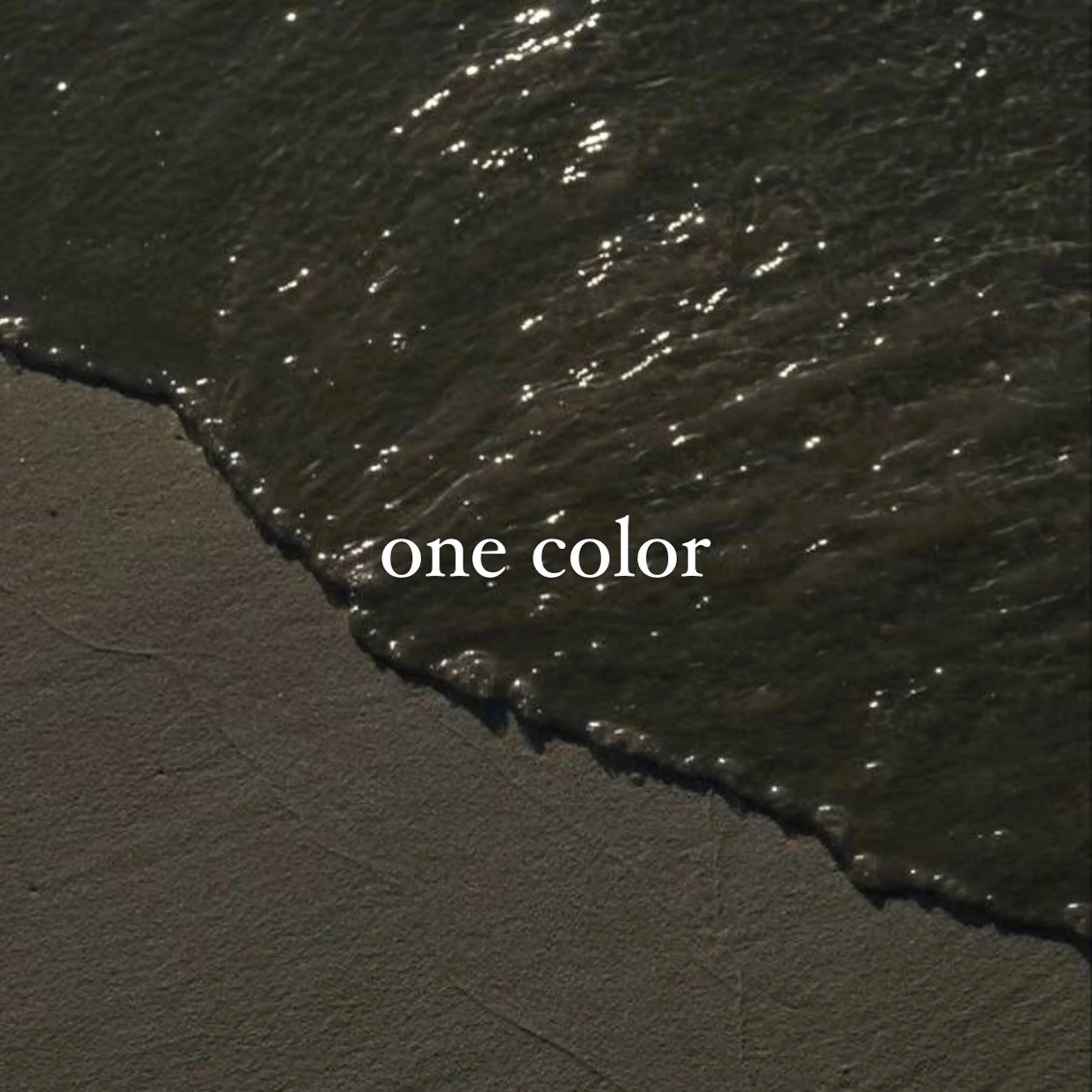 〖 one color 〗の写真