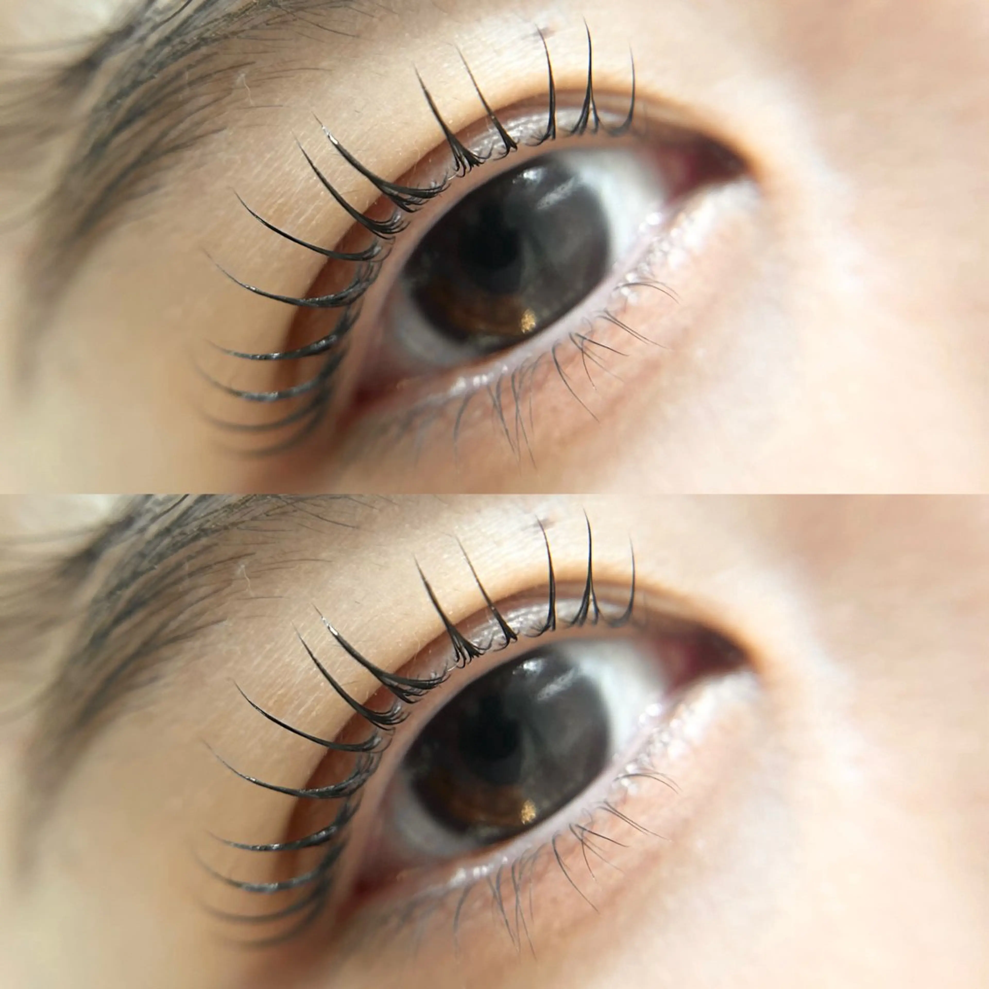 マツエク・マツパ peTiT京橋店🌷 yuiのマツエク・マツパデザイン