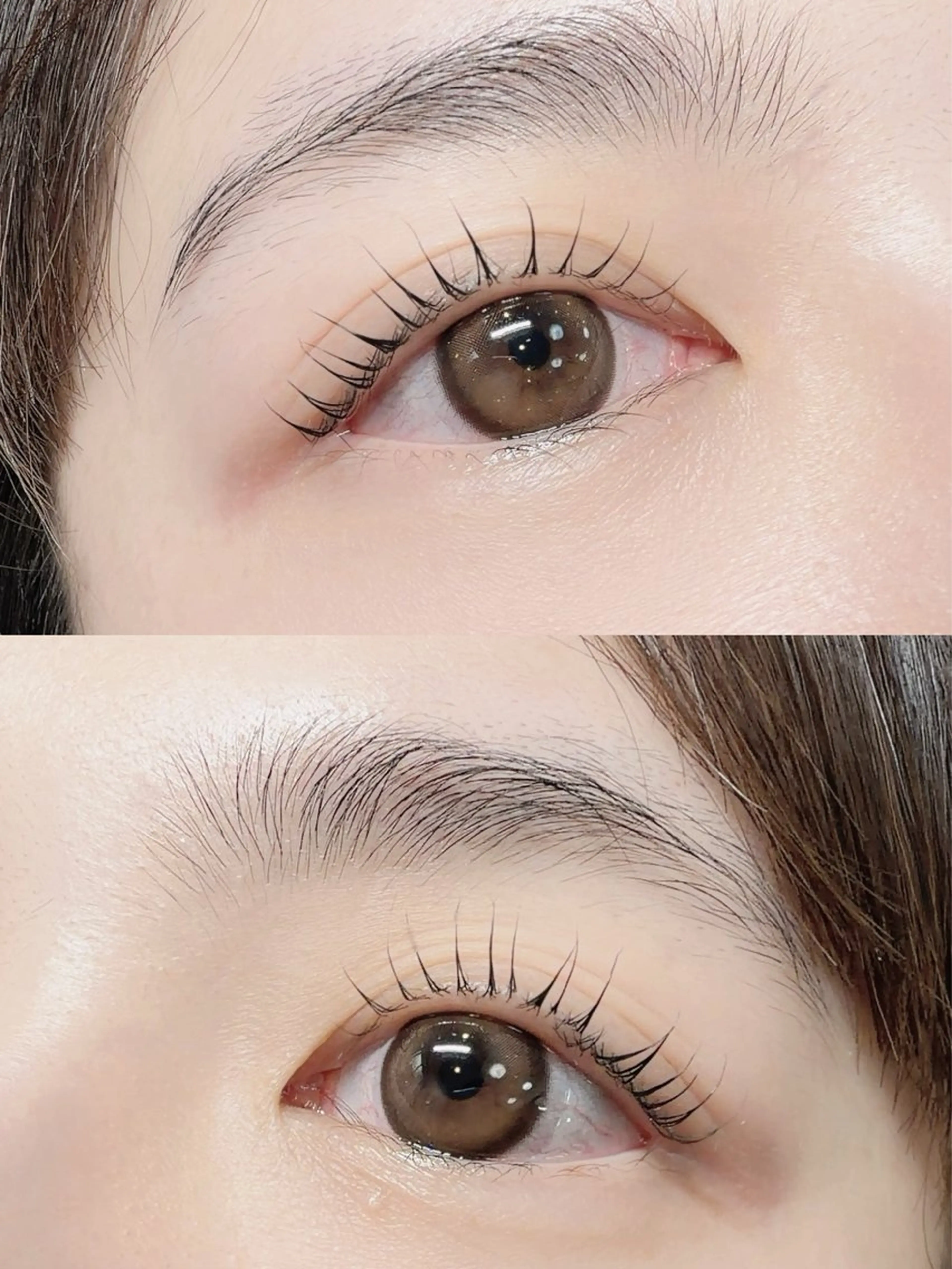 《当日限定》🎀 ラッシュリフト/まつげパーマ🎀【美容液コーティング付き】の写真